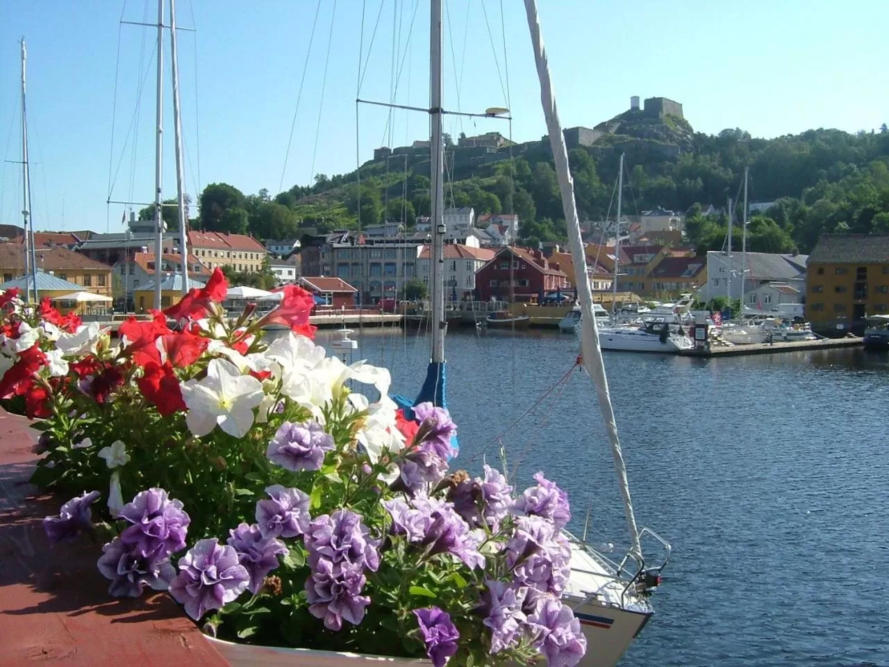 Area and facilities in Motell Svinesundparken