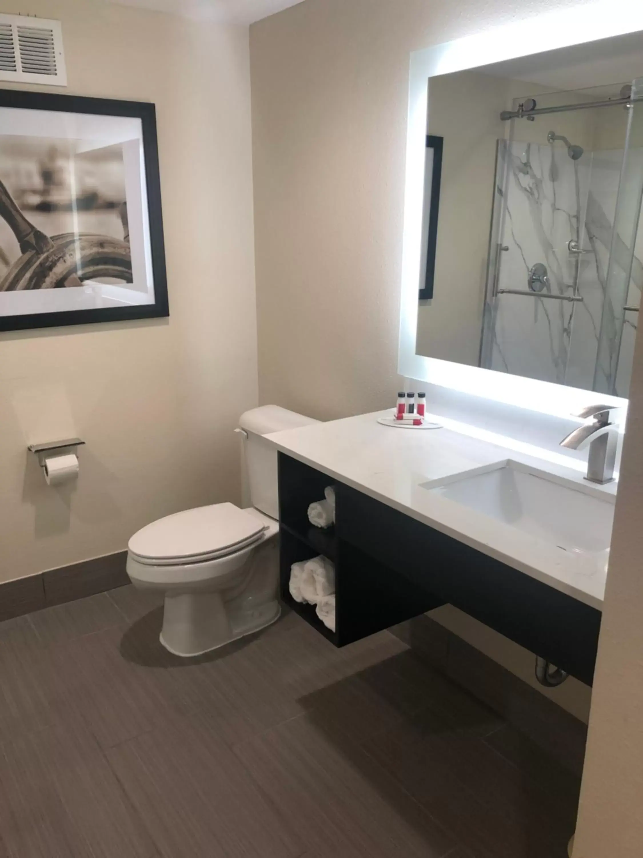 Bathroom in Baymont Inn & Suites by Wyndham Hammond