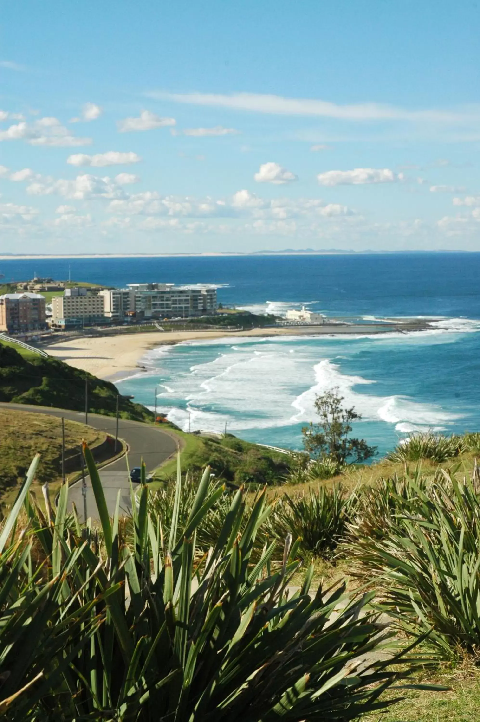 Area and facilities, Pool View in Quest Newcastle West