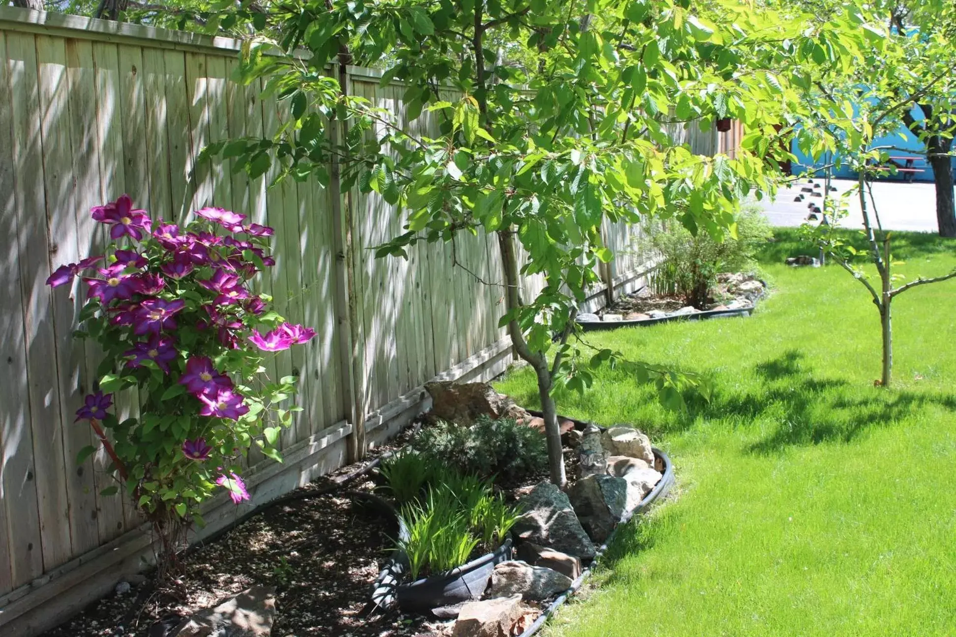 Garden in Lakeside Villa Inn & Suites