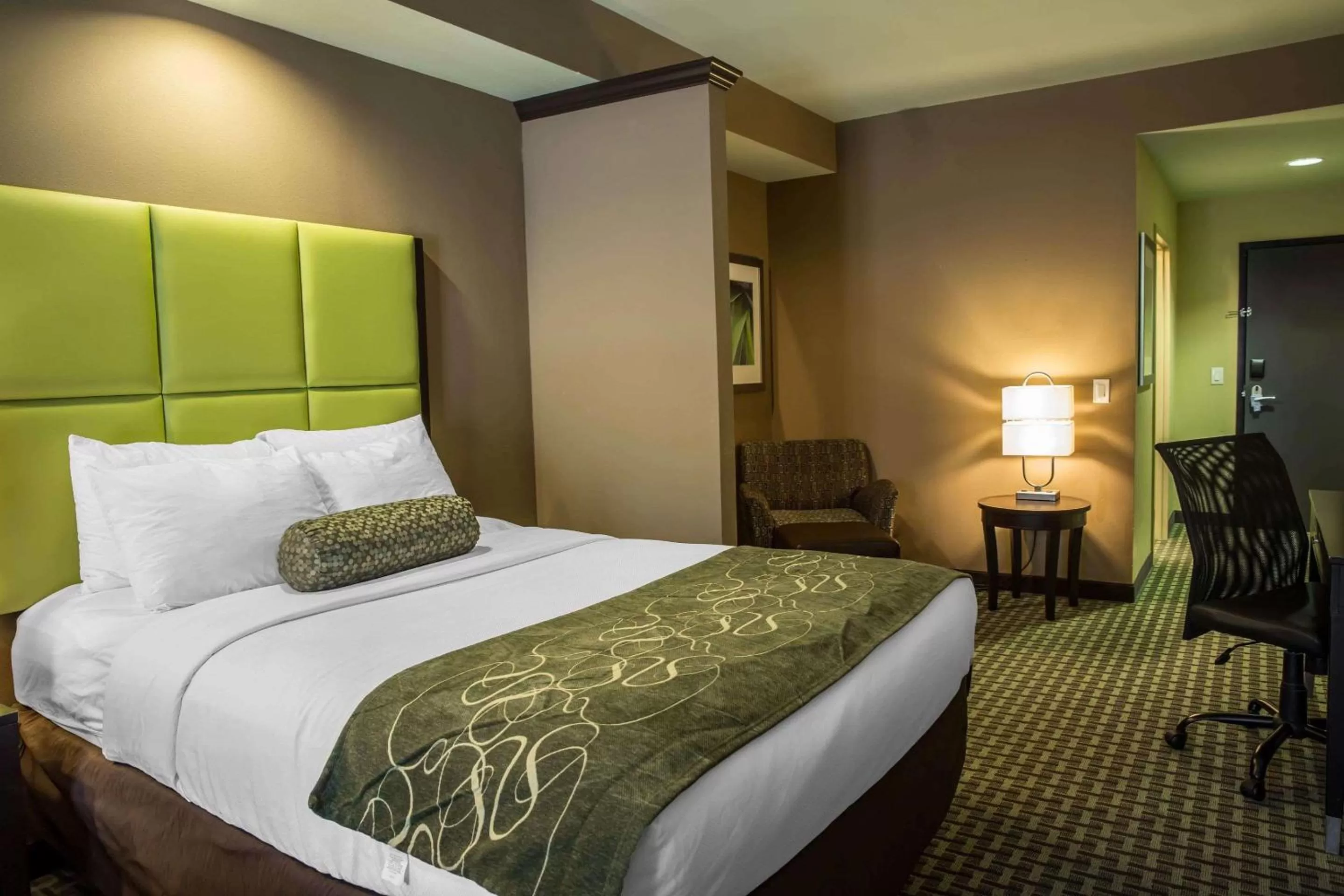 Photo of the whole room, Bed in Comfort Suites New Bern near Cherry Point