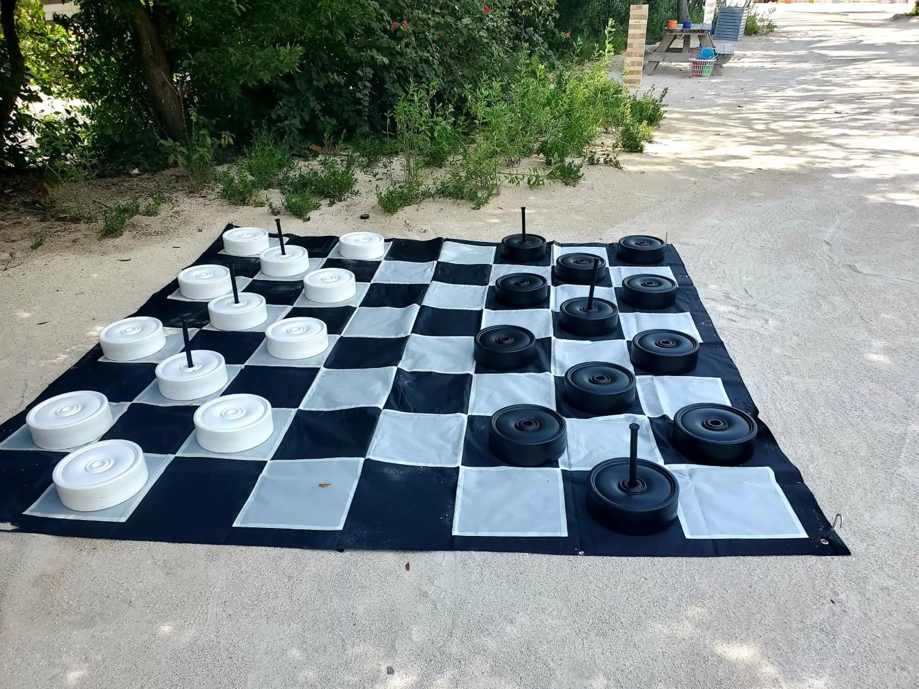 Entertainment in Bayside Inn Key Largo Entertainment in Bayside Inn Key Largo