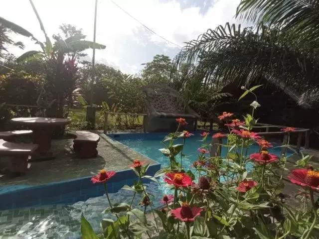 Swimming Pool in Iguanitas Lodge