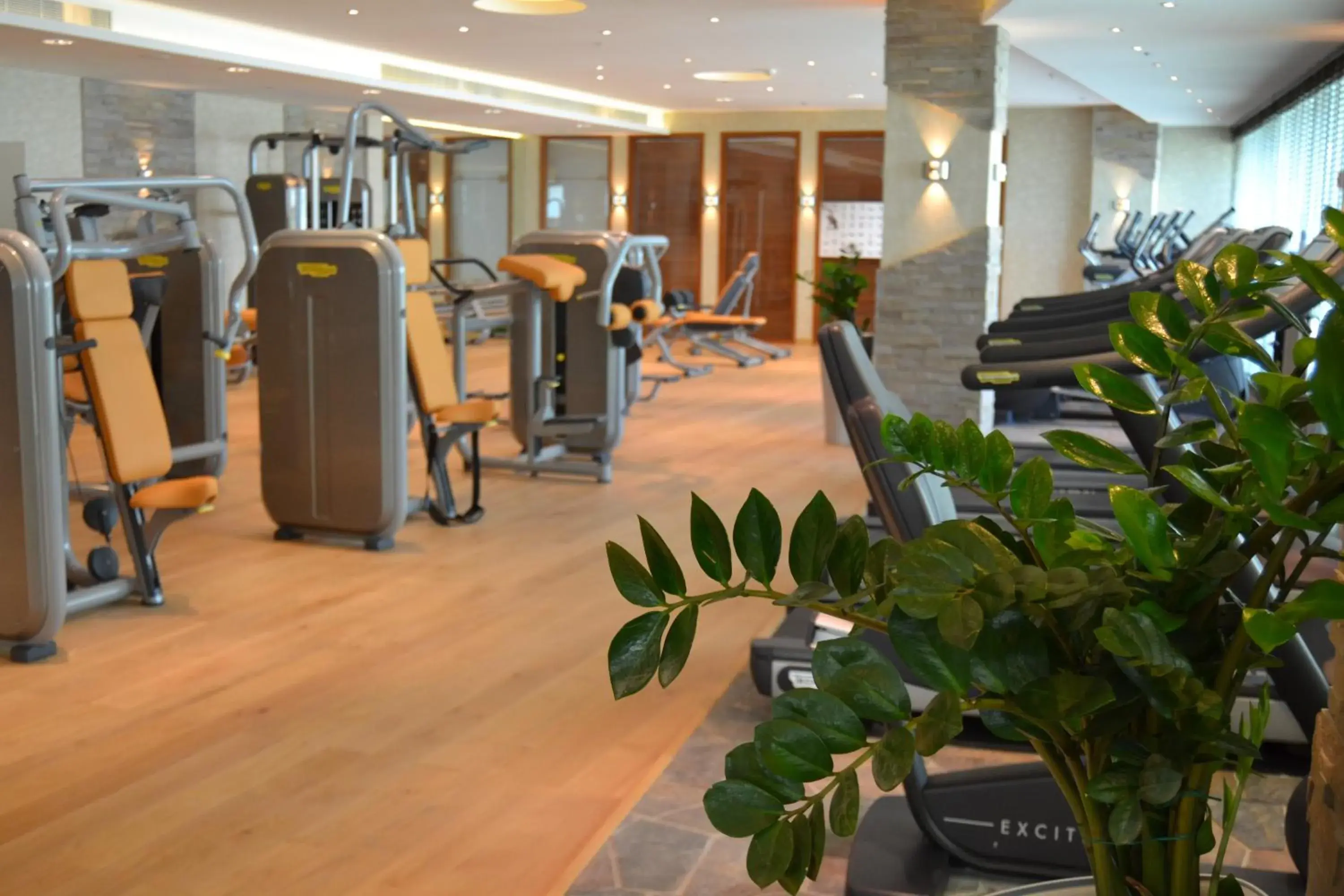 Fitness centre/facilities, Fitness Center/Facilities in Millennium Executive Apartments Muscat