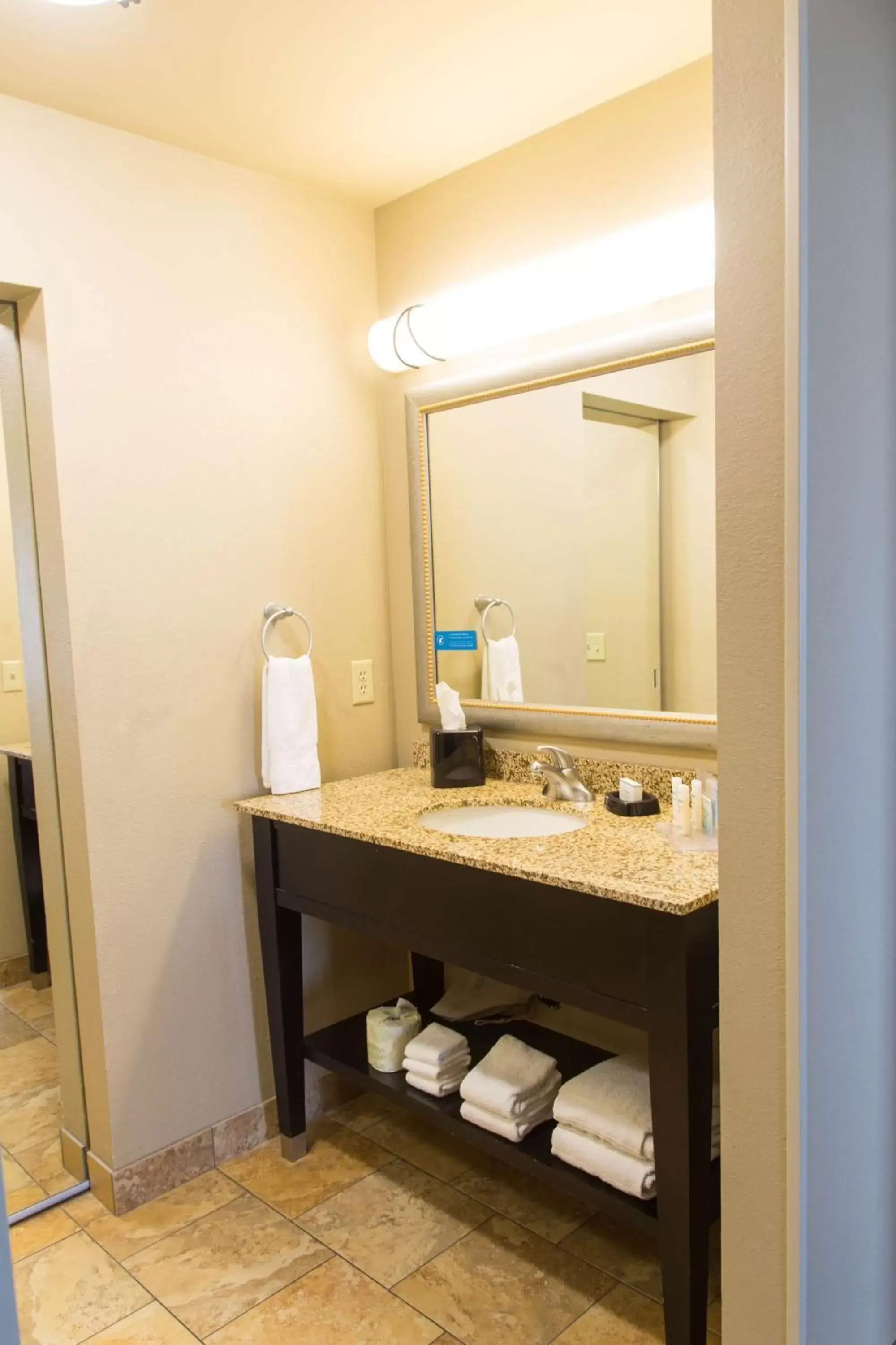 Bathroom in Hampton Inn & Suites Dodge City