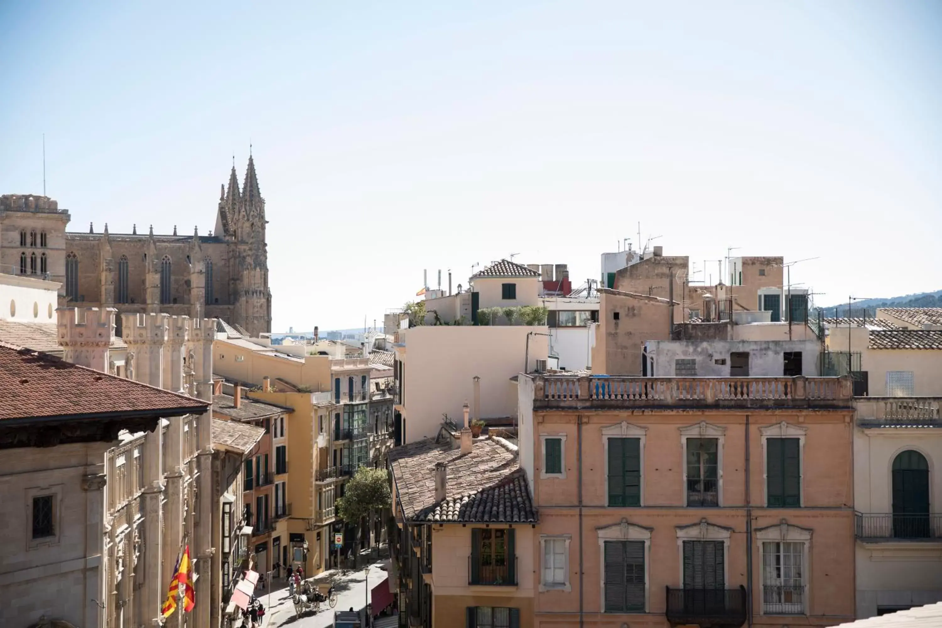 Nearby landmark in Hotel Cappuccino - Palma