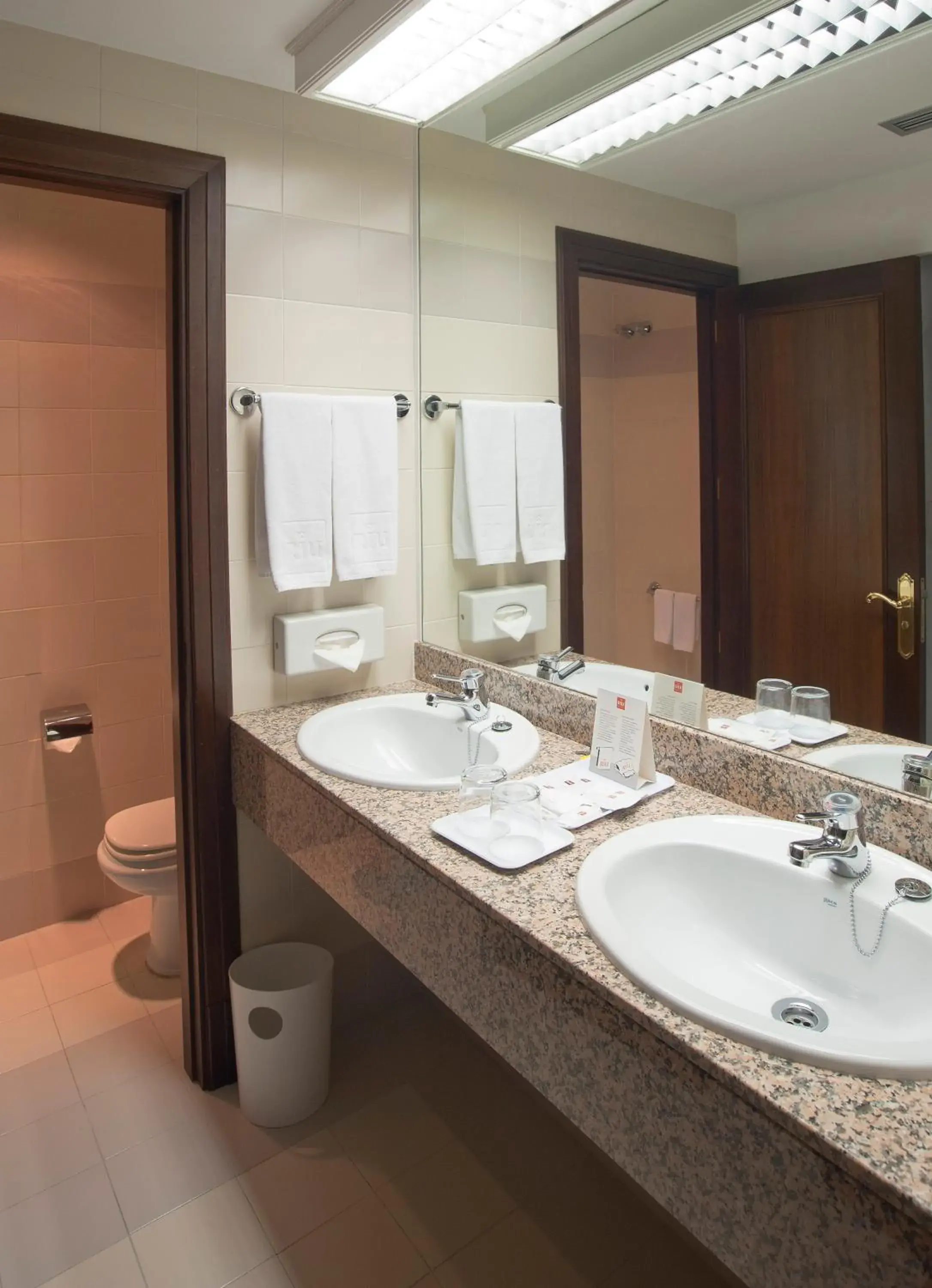 Bathroom in Hotel Riu Fluvi