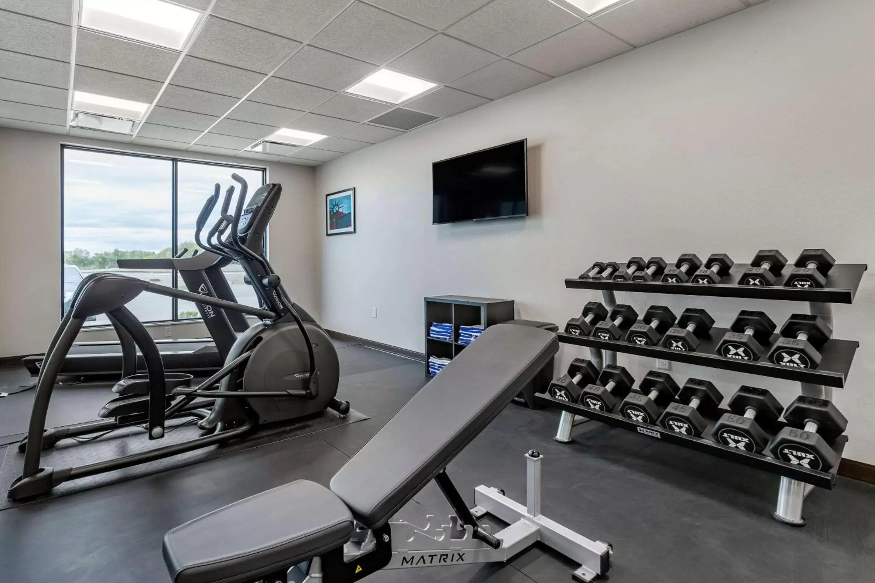 Fitness centre/facilities, Fitness Center/Facilities in MainStay Suites Waukee-West Des Moines