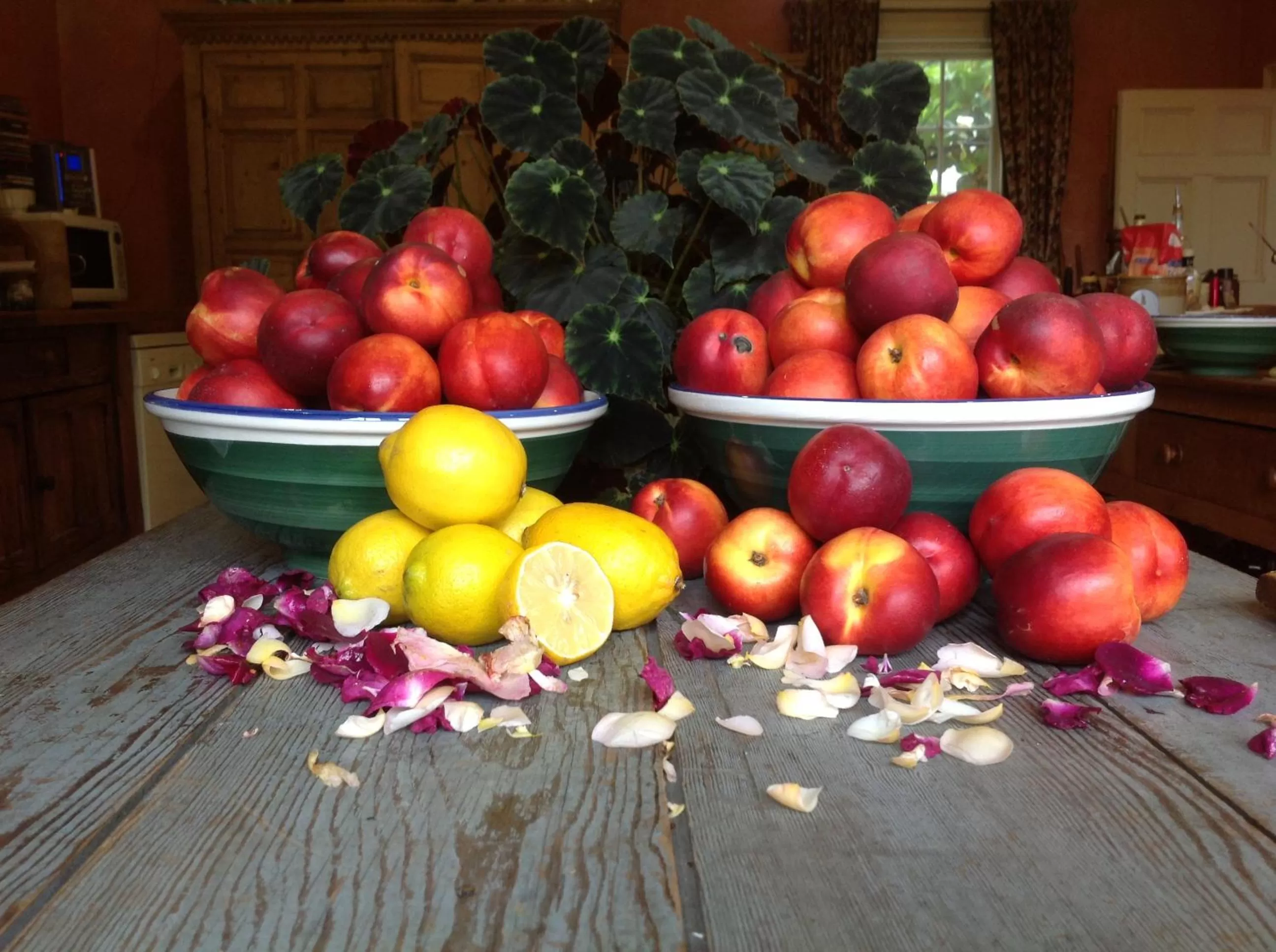 Summer in Ballymote Country House