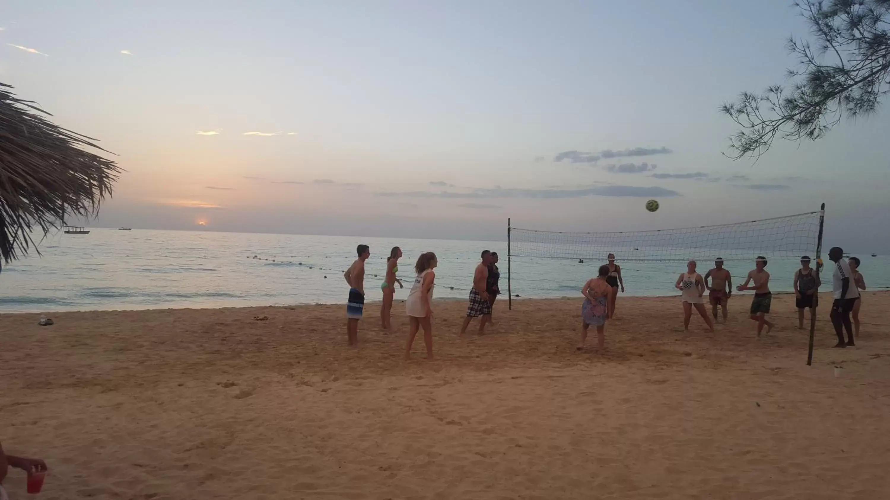 People, Beach in Roots Cafe Rooms