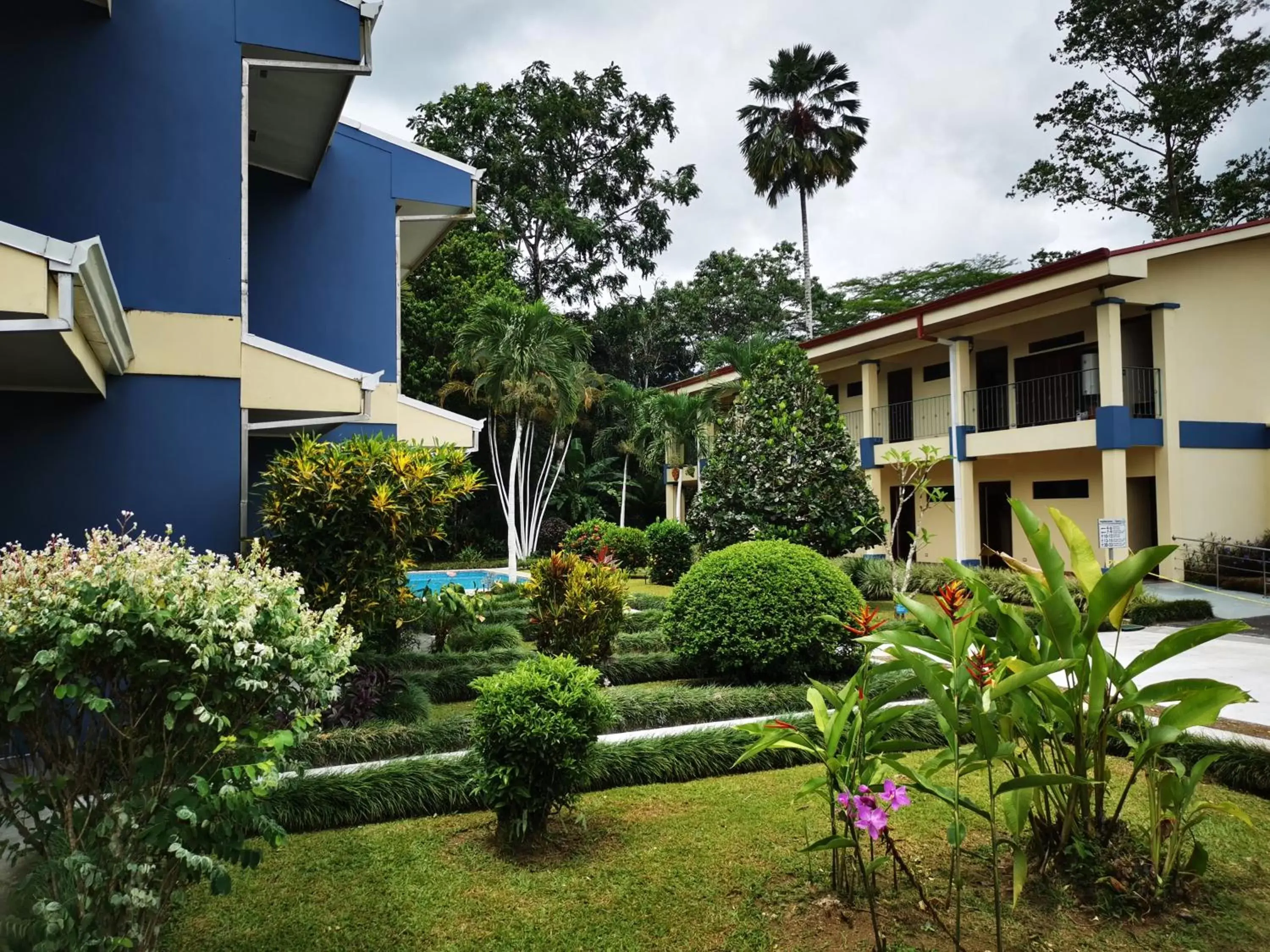 Garden, Property Building in Hotel Monte Real