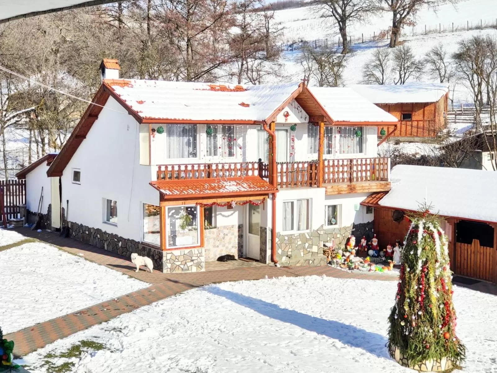 Property building, Winter in Pensiunea SilvAnka