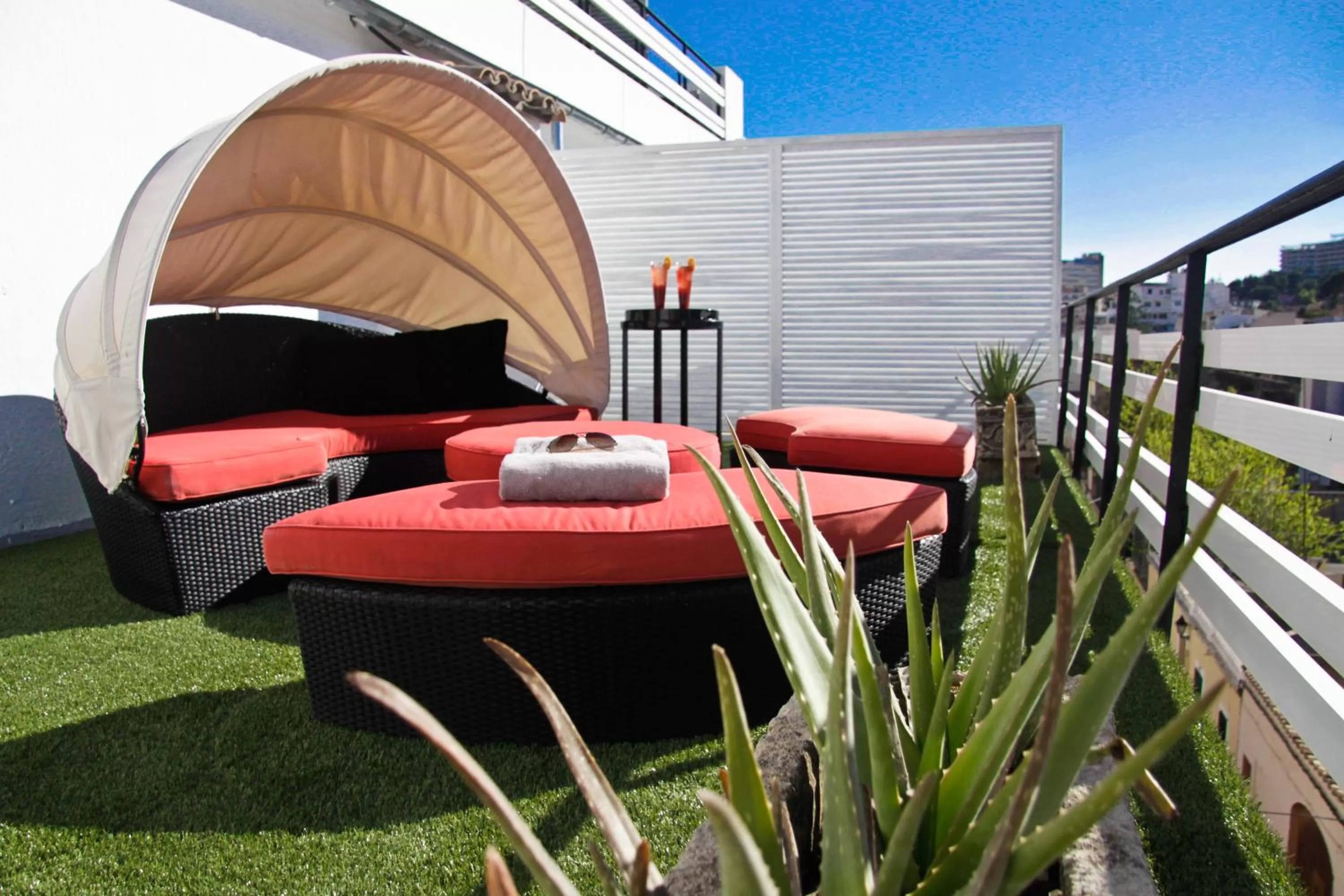 Balcony/Terrace in Hotel Feliz