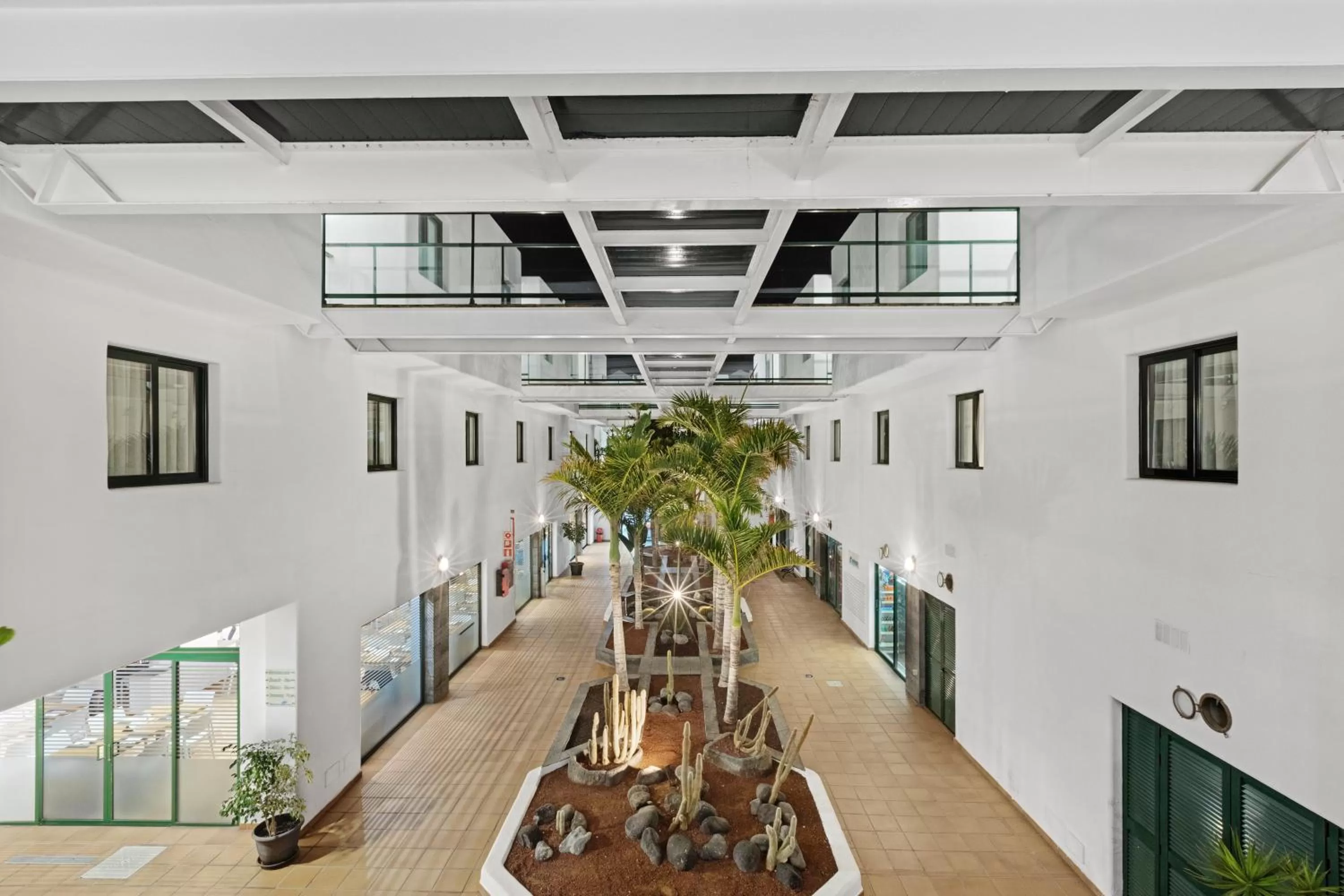 Garden in Hotel THB Flora