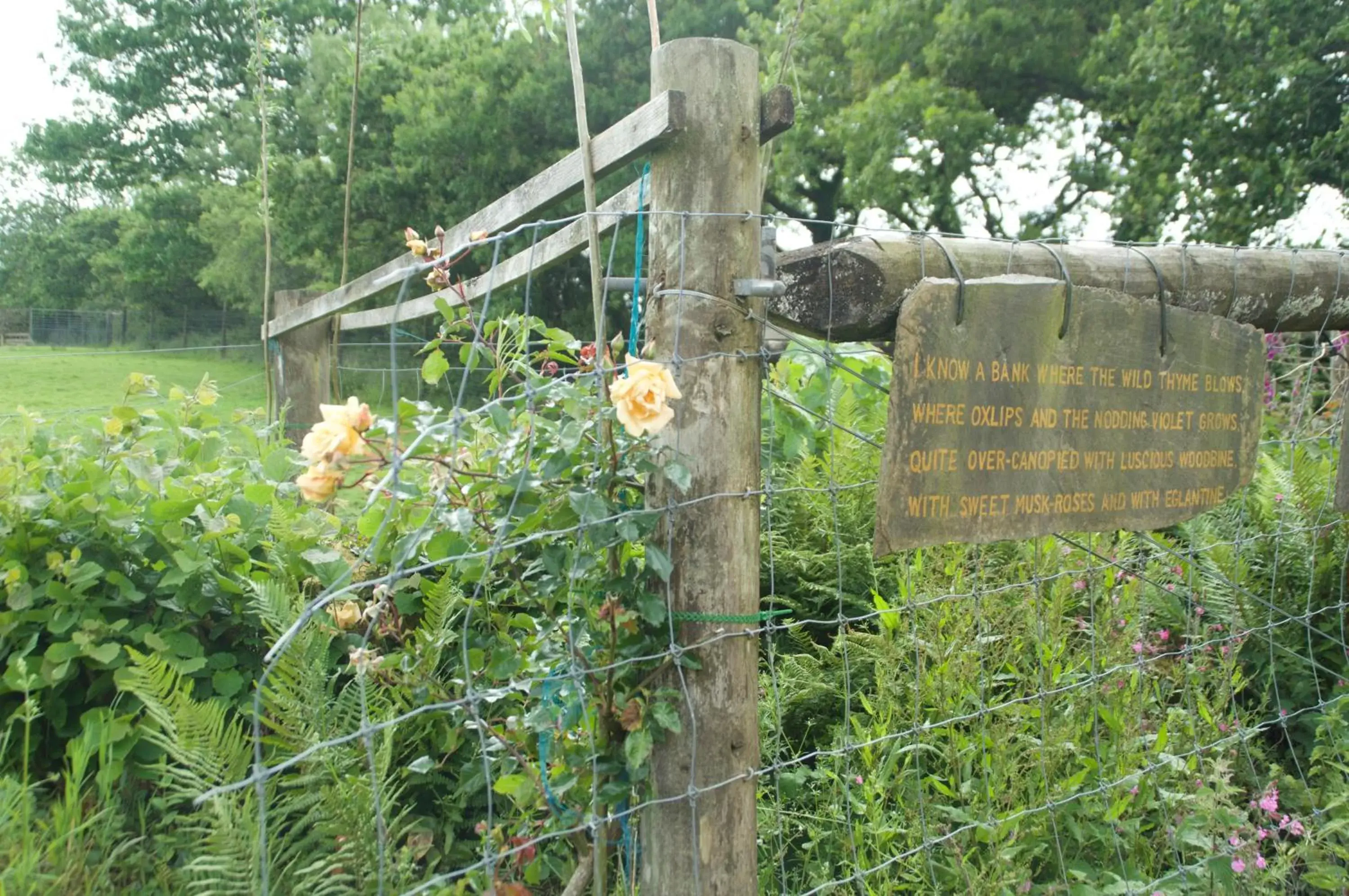 Garden view, Other Animals in The Old Deer House