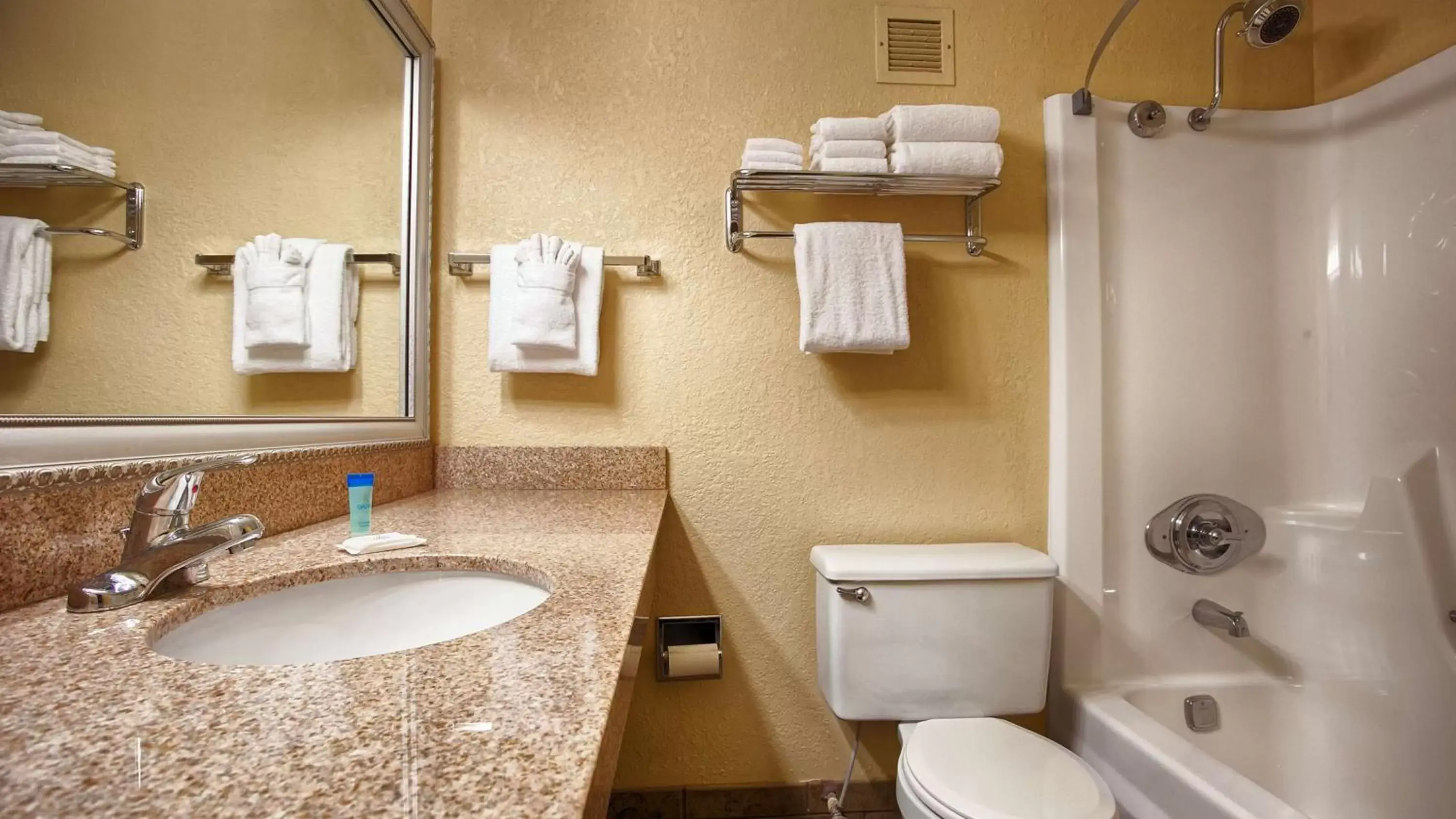 Bathroom in Best Western Branson Inn and Conference Center