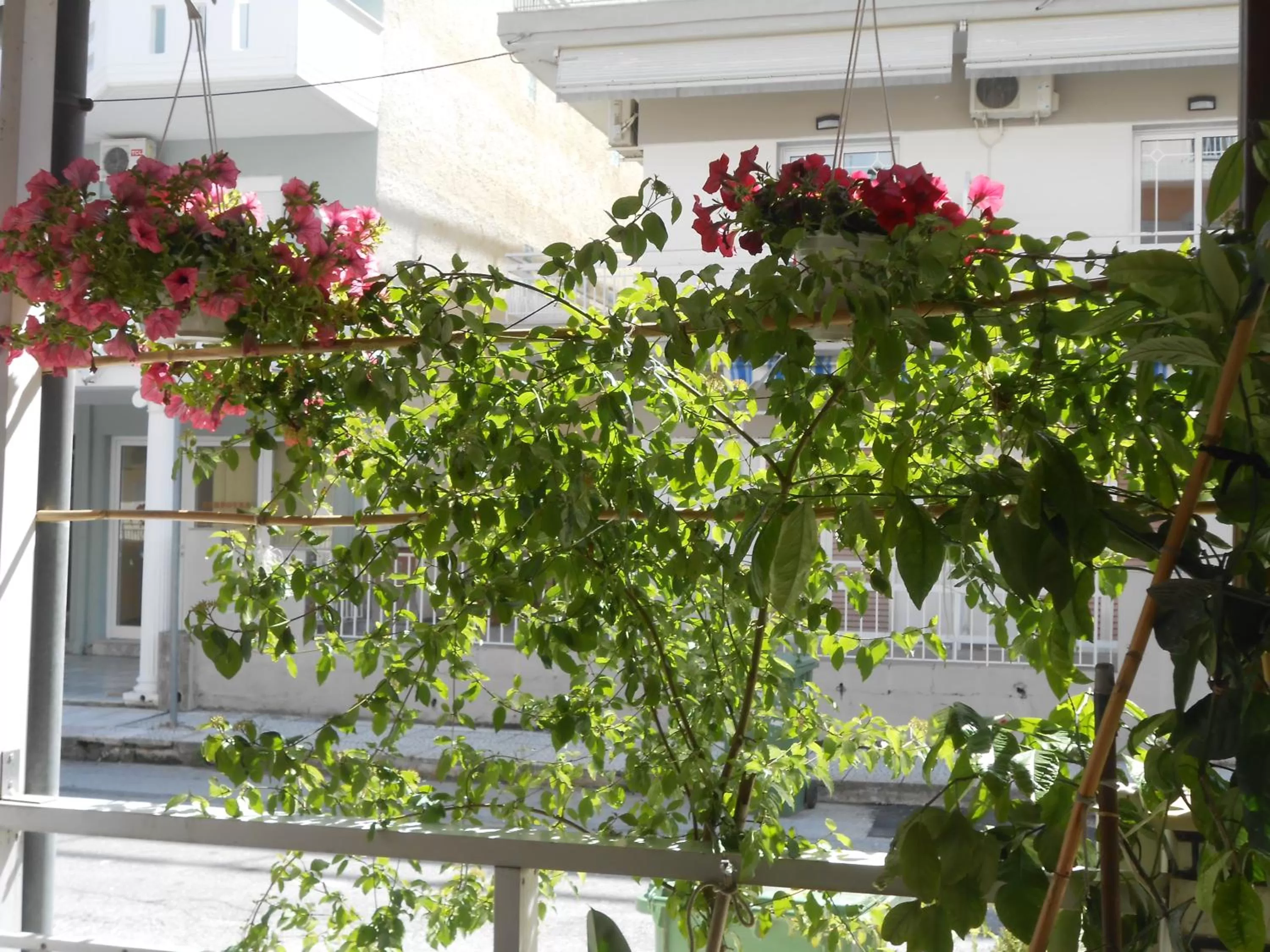Decorative detail in Hotel Germany