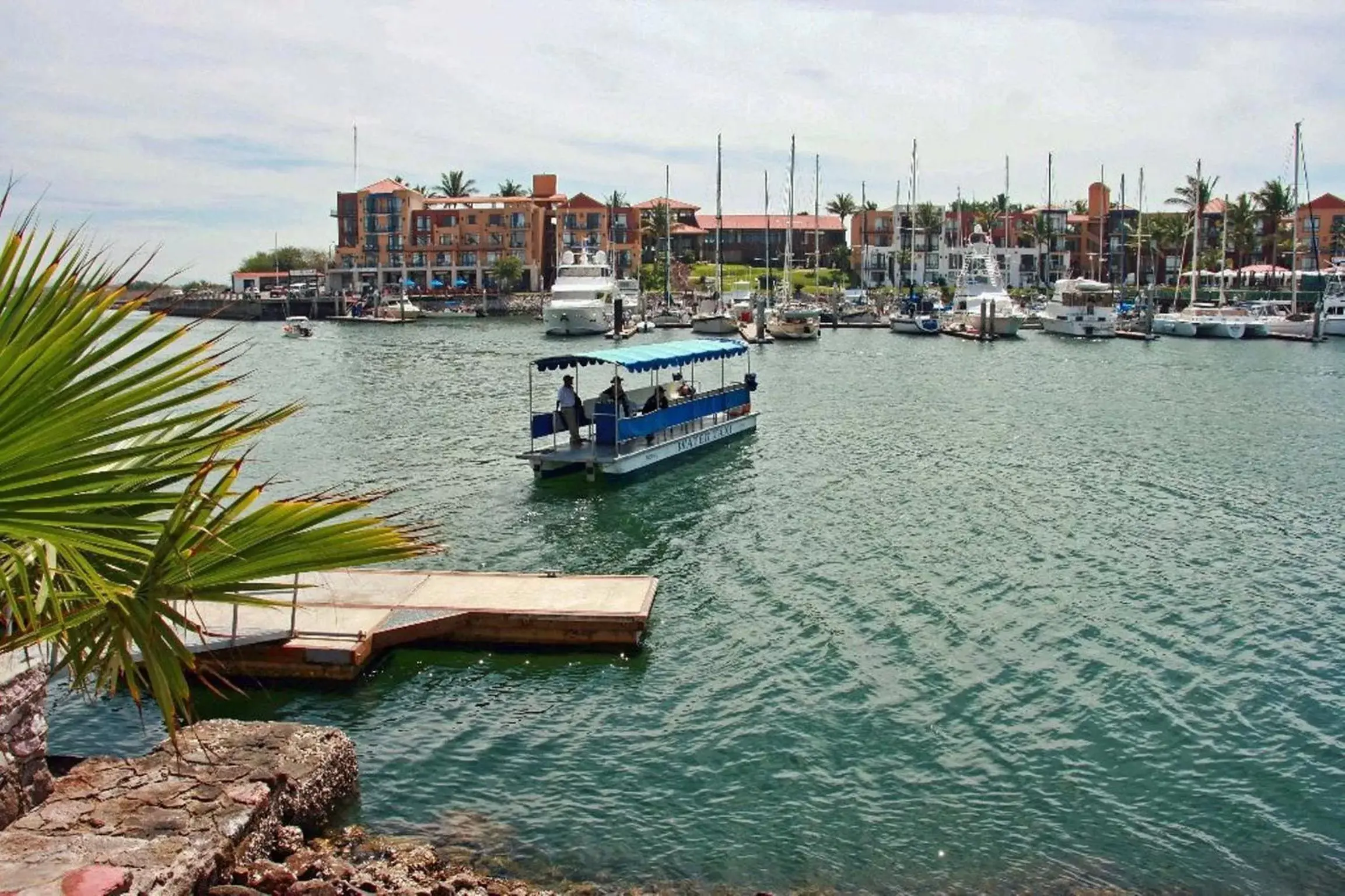 View (from property/room) in El Cid Marina Beach Hotel View (from property/room) in El Cid Marina Beach Hotel