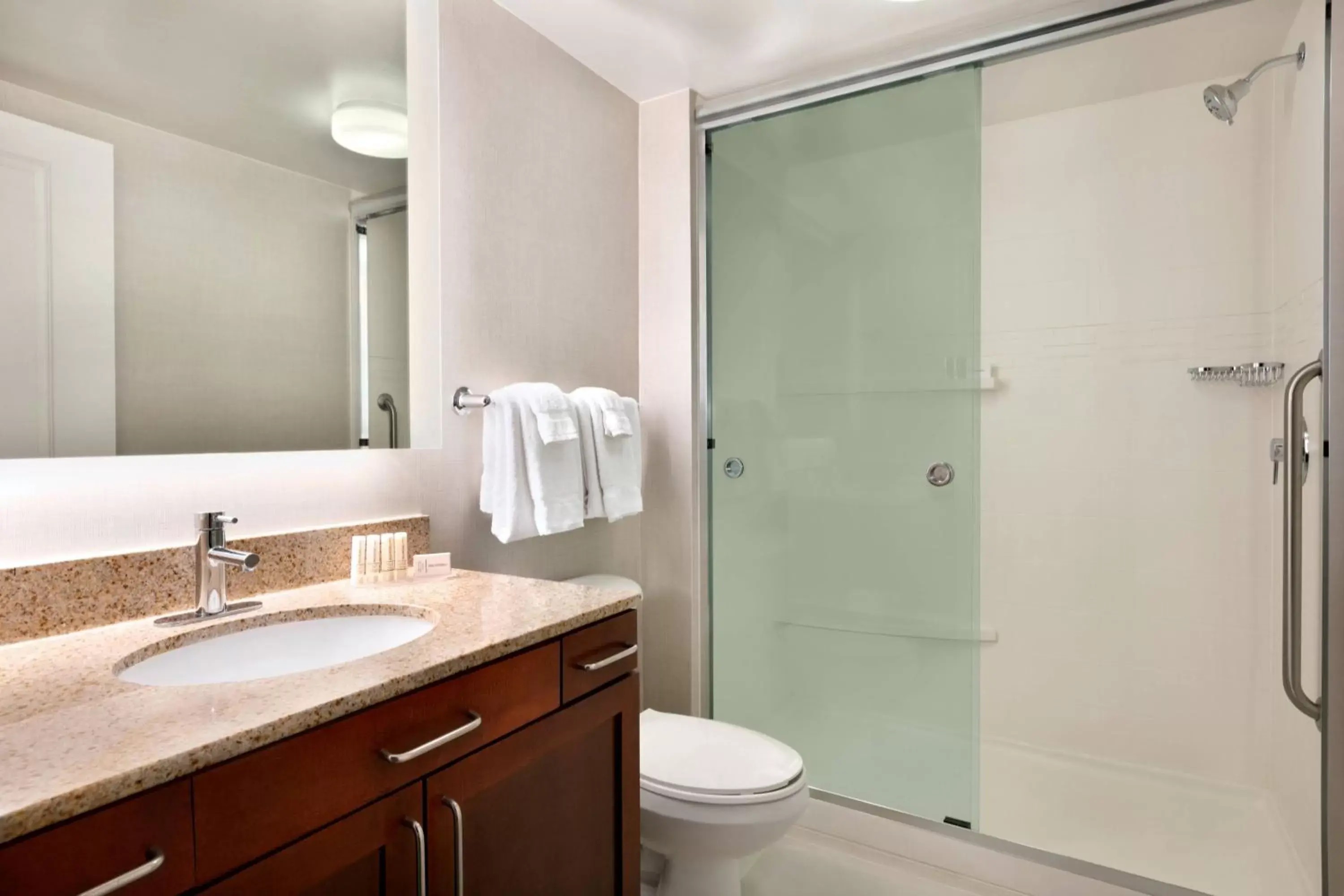 Bathroom in Residence Inn by Marriott Baltimore Downtown/ Inner Harbor