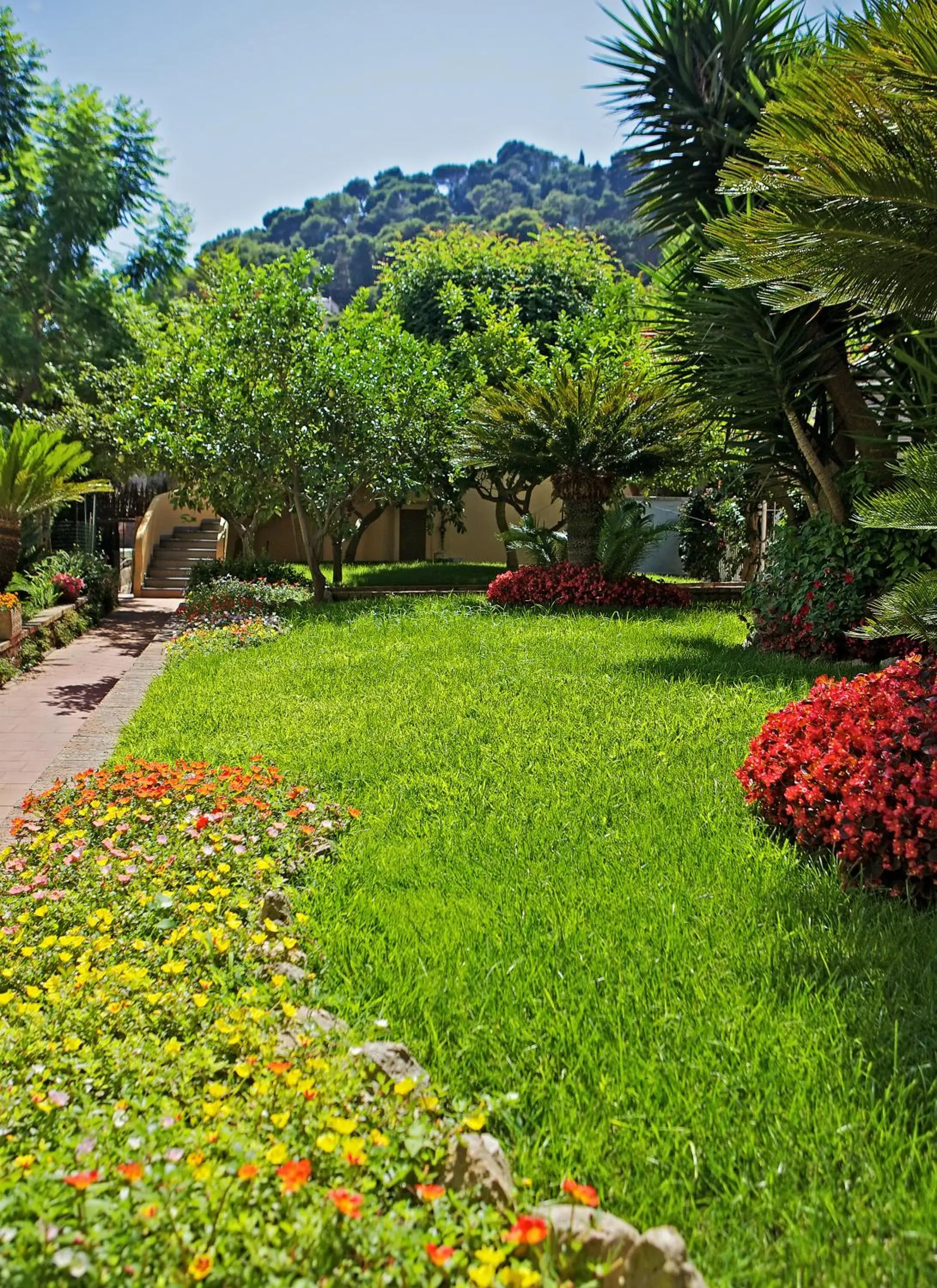 Garden in Hotel San Felice