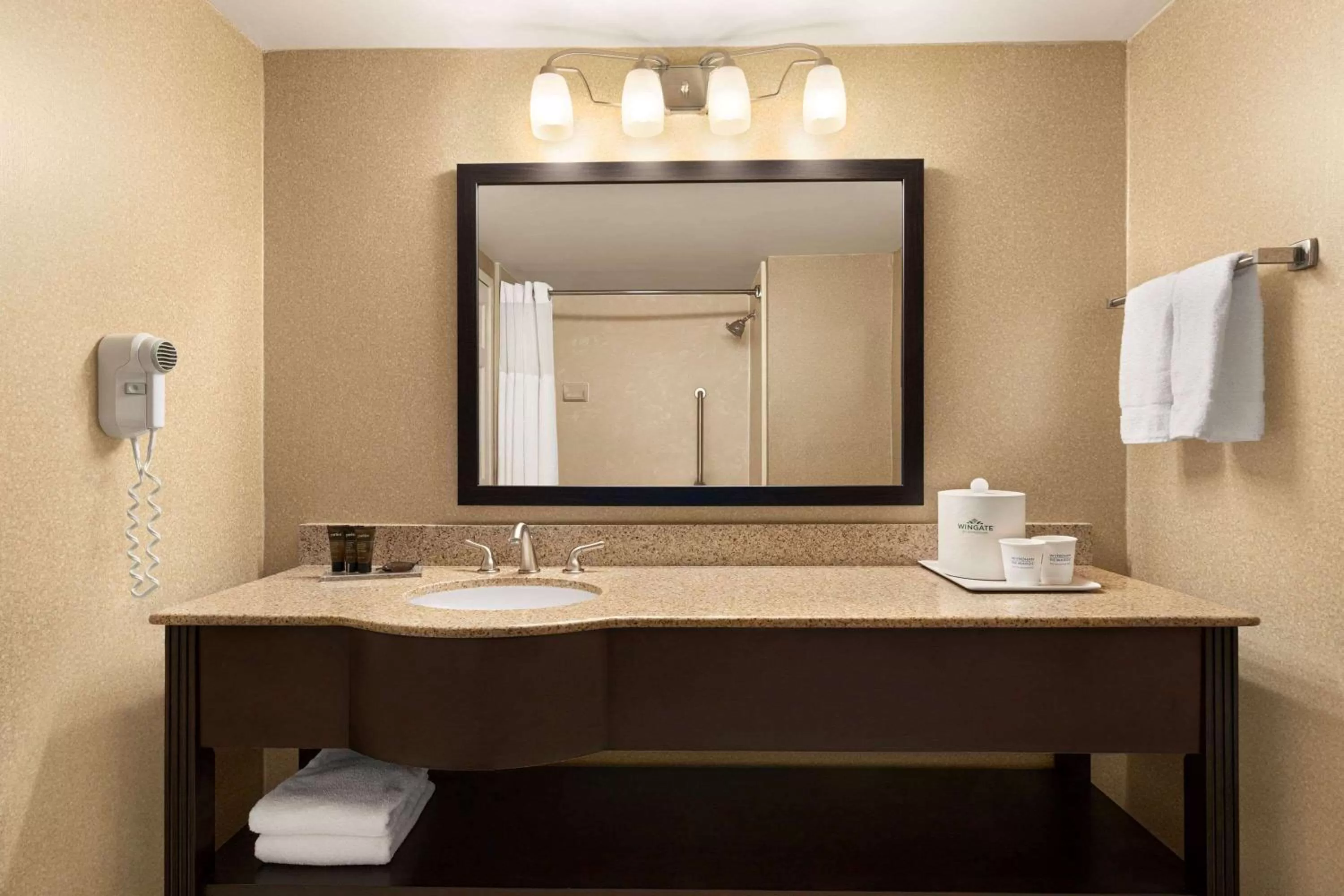 Bathroom in Wingate by Wyndham Wilmington
