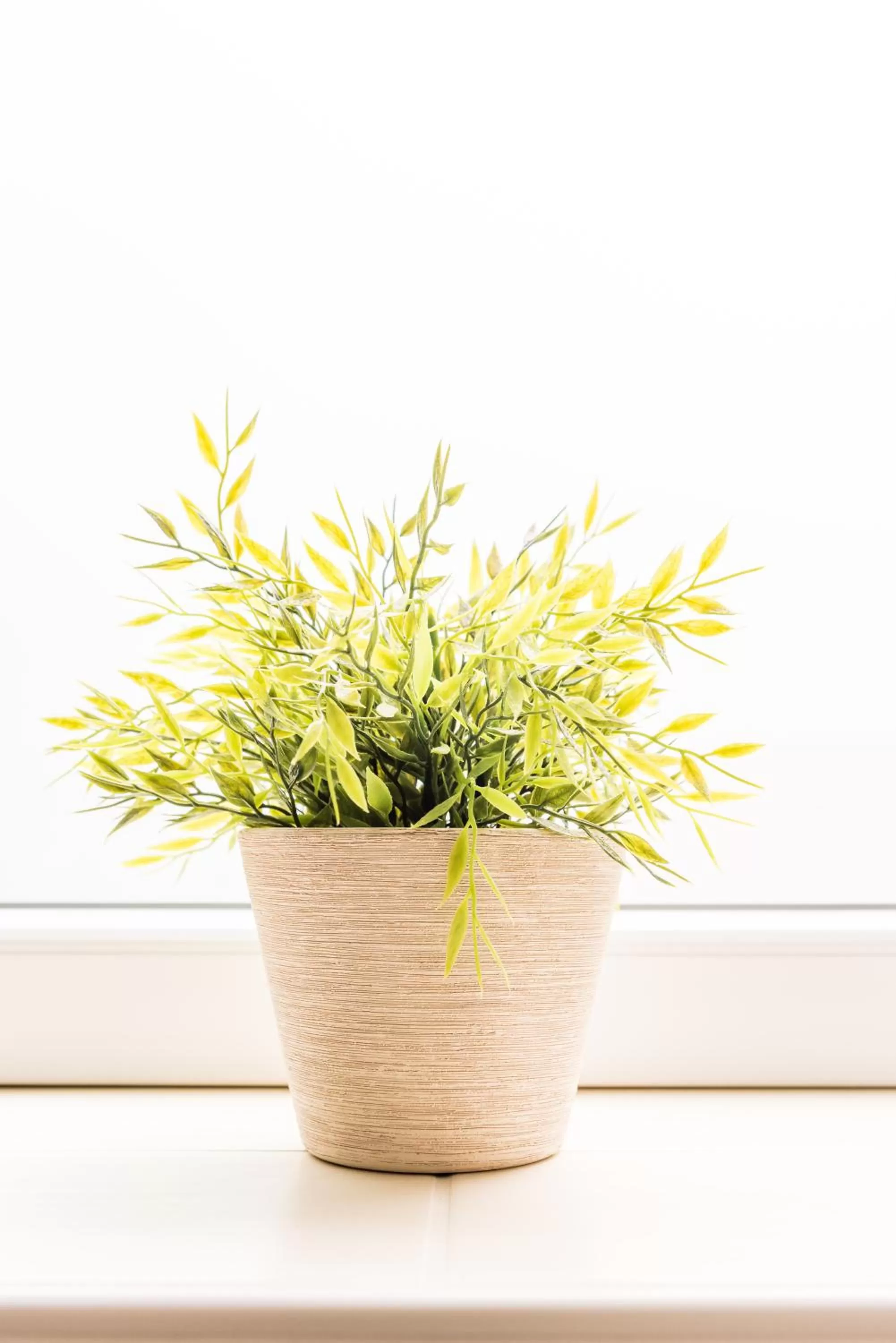 Decorative detail in Schäfers Hotel, Self-Check-in, Cafe und Bäcker am Hotel