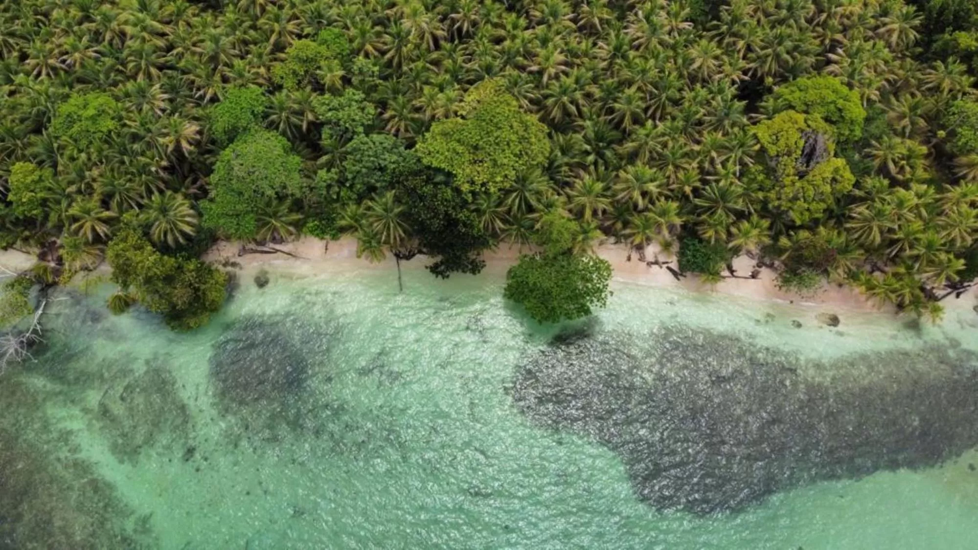 Natural landscape in RIVA B&B