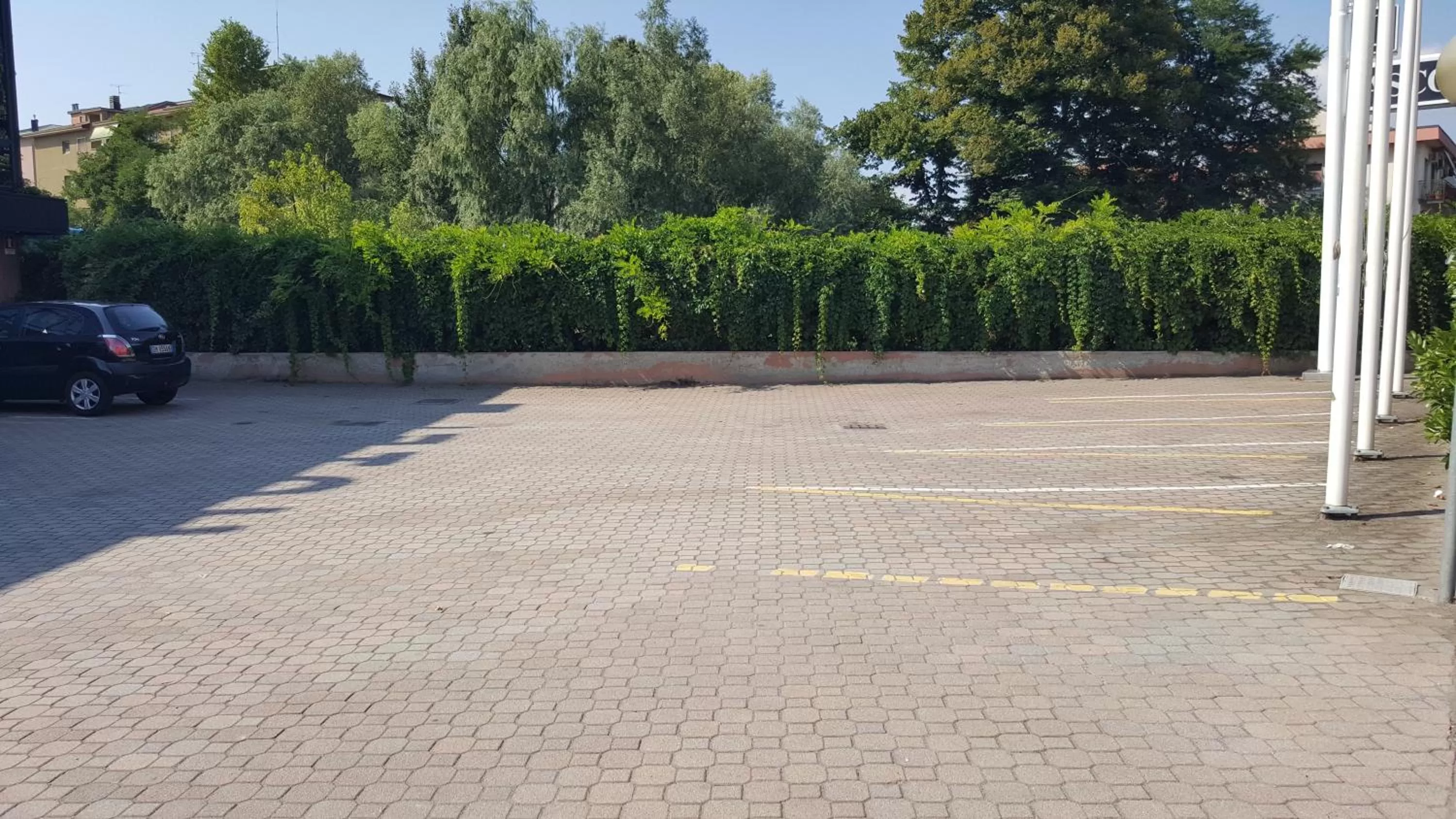 Area and facilities in Hotel Ascot