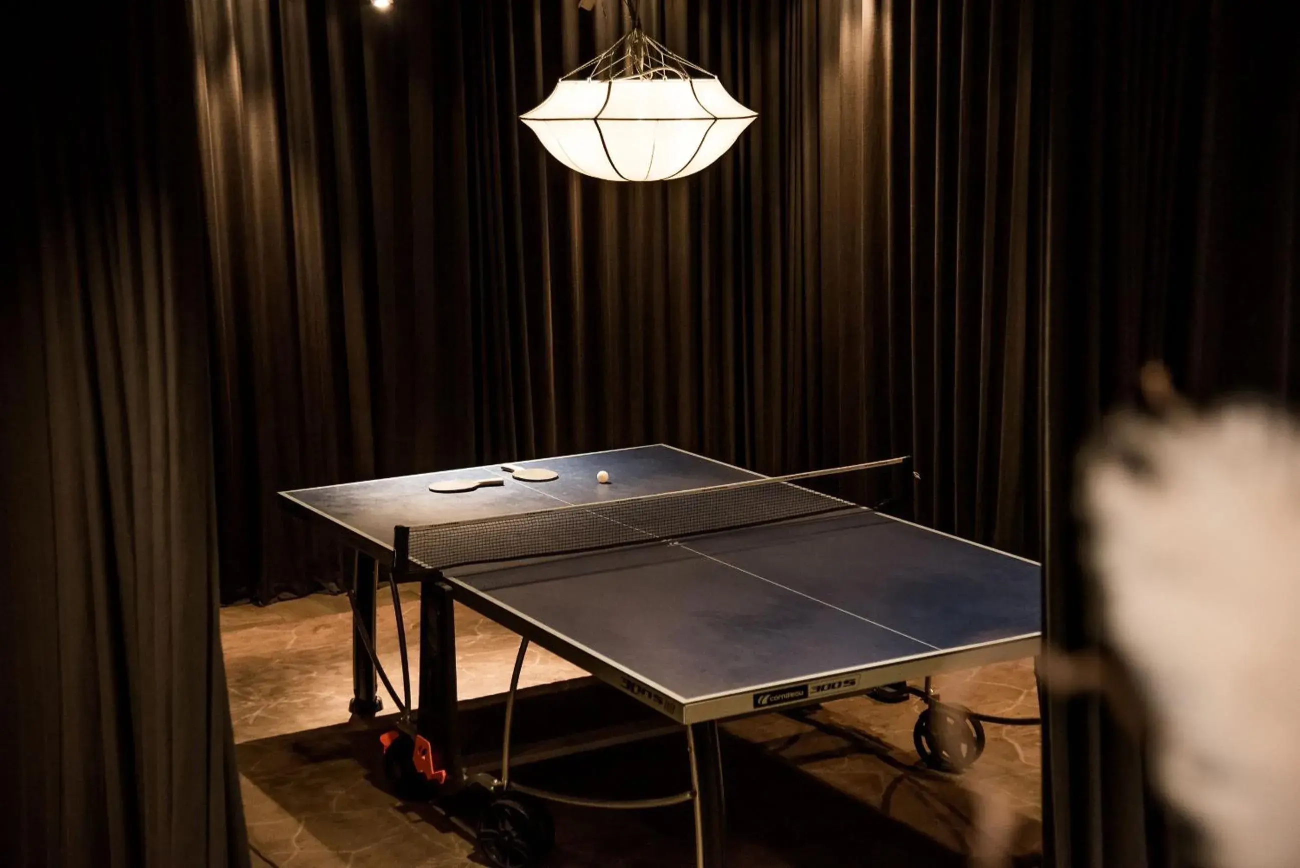 Activities, Table Tennis in Arken Hotel & Art Garden Spa