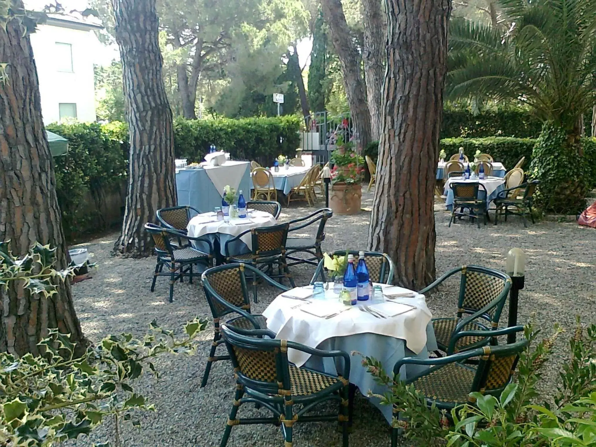 Garden, Restaurant/Places to Eat in Hotel Massimo