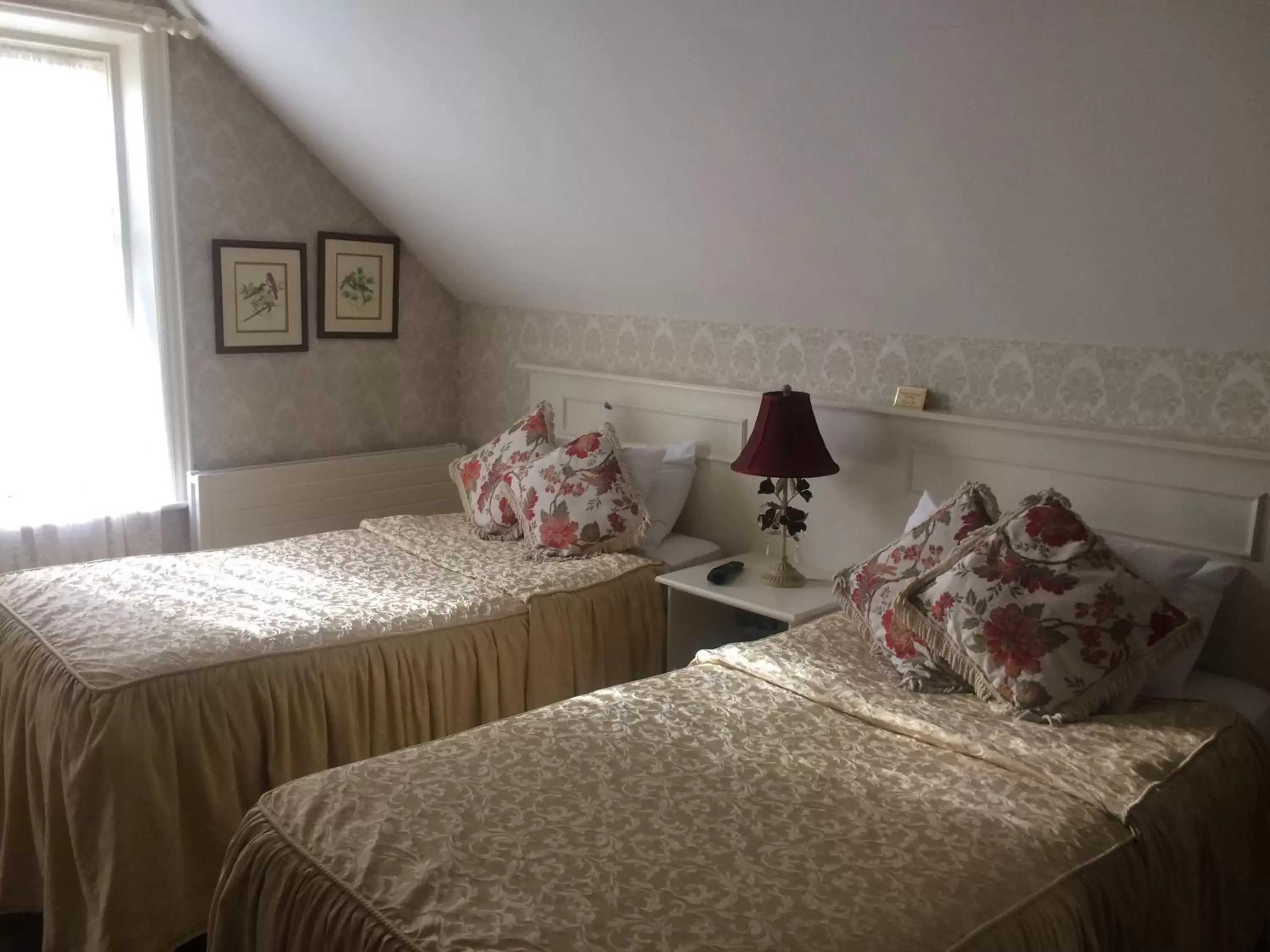 Standard Twin Room in Innisfree House