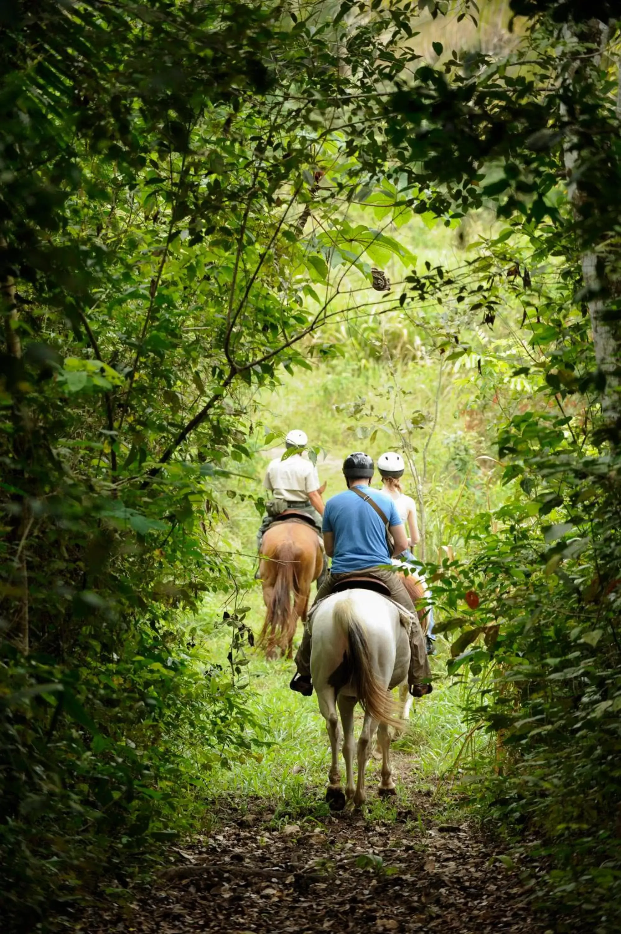 Horse-riding in The Lodge at ChaaCreek Horse-riding in The Lodge at ChaaCreek