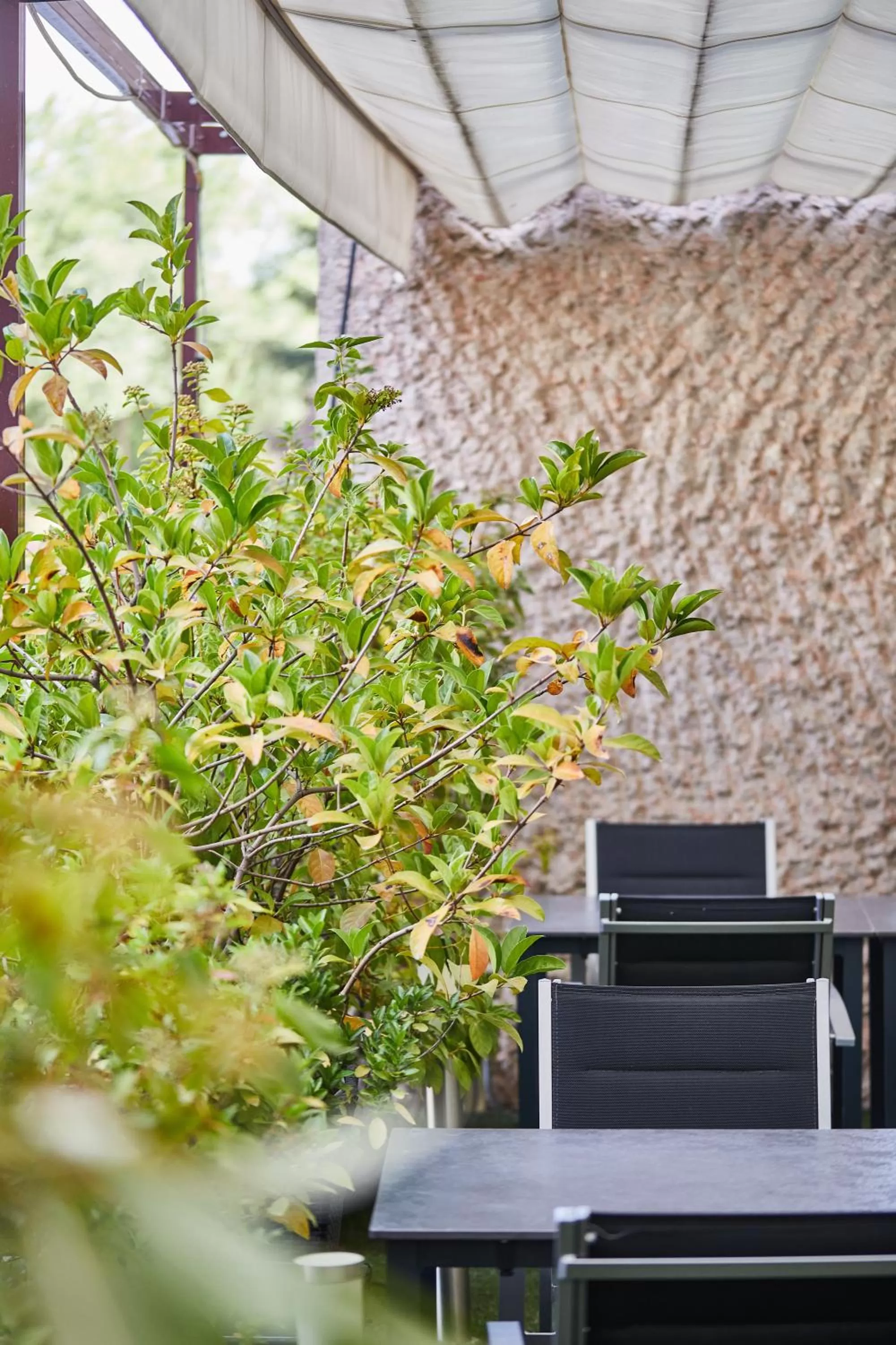 Area and facilities in Silken Puerta Madrid