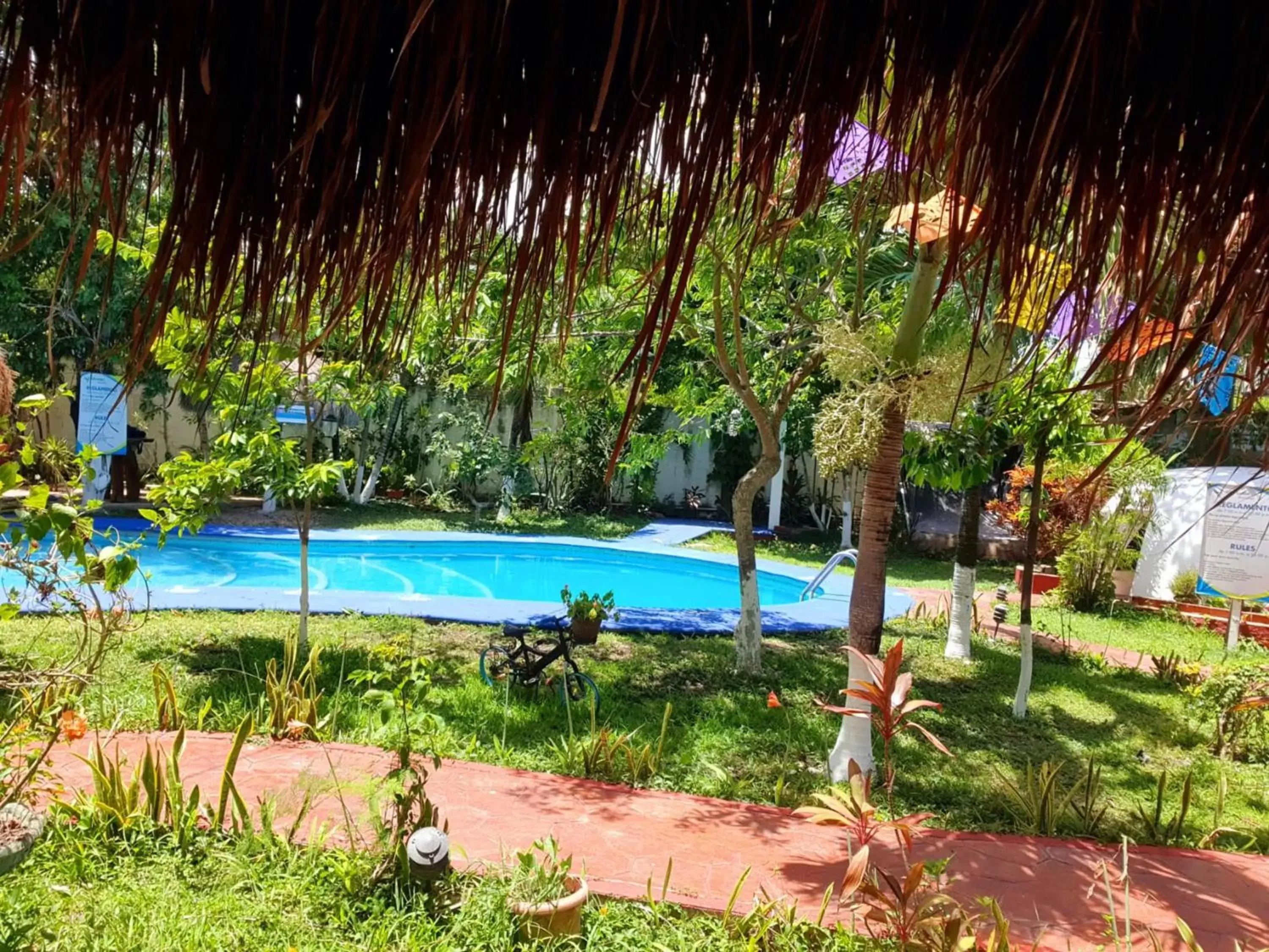 Swimming Pool in Cabañas Colibrí