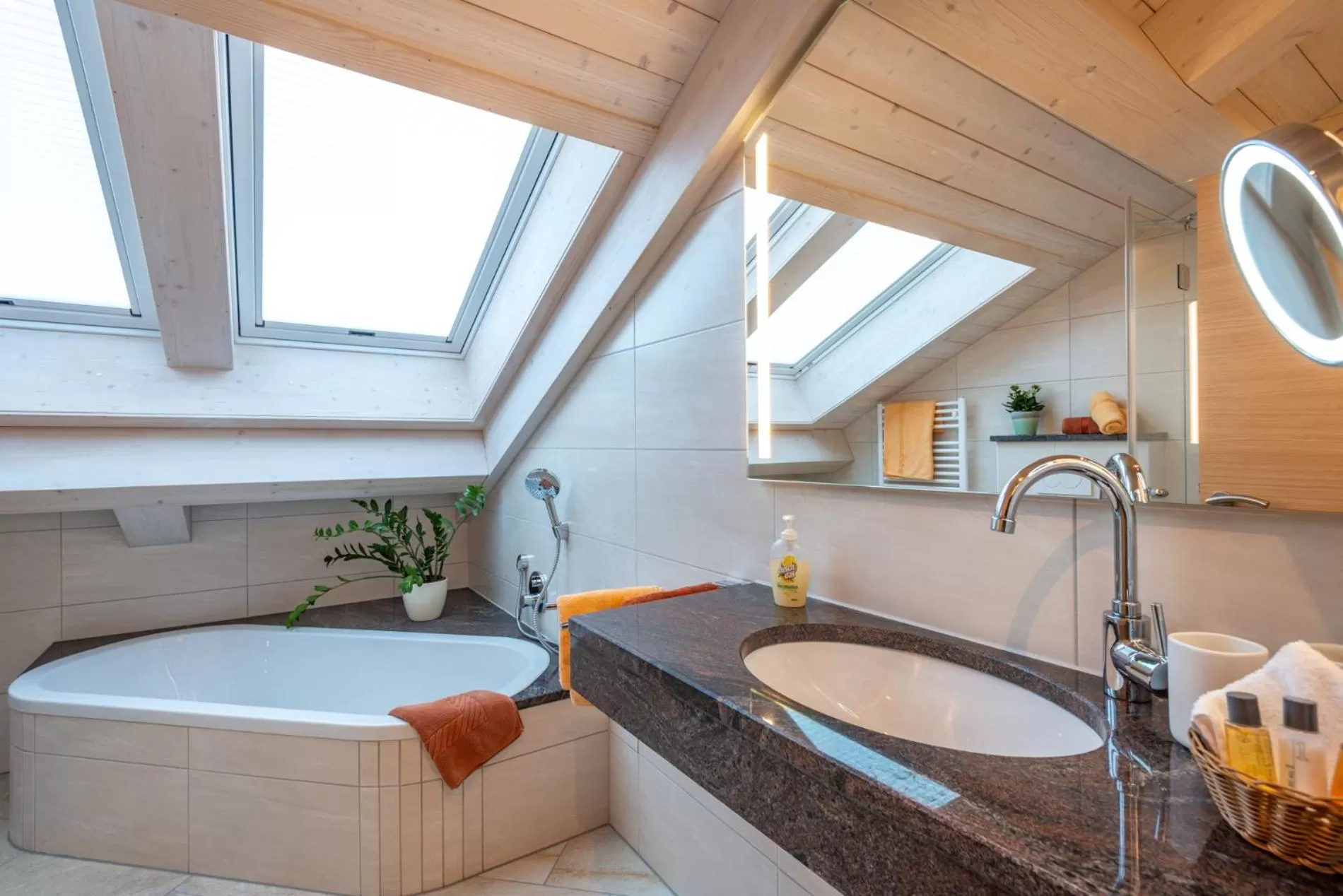 Shower in Boutique Hotel Angerer