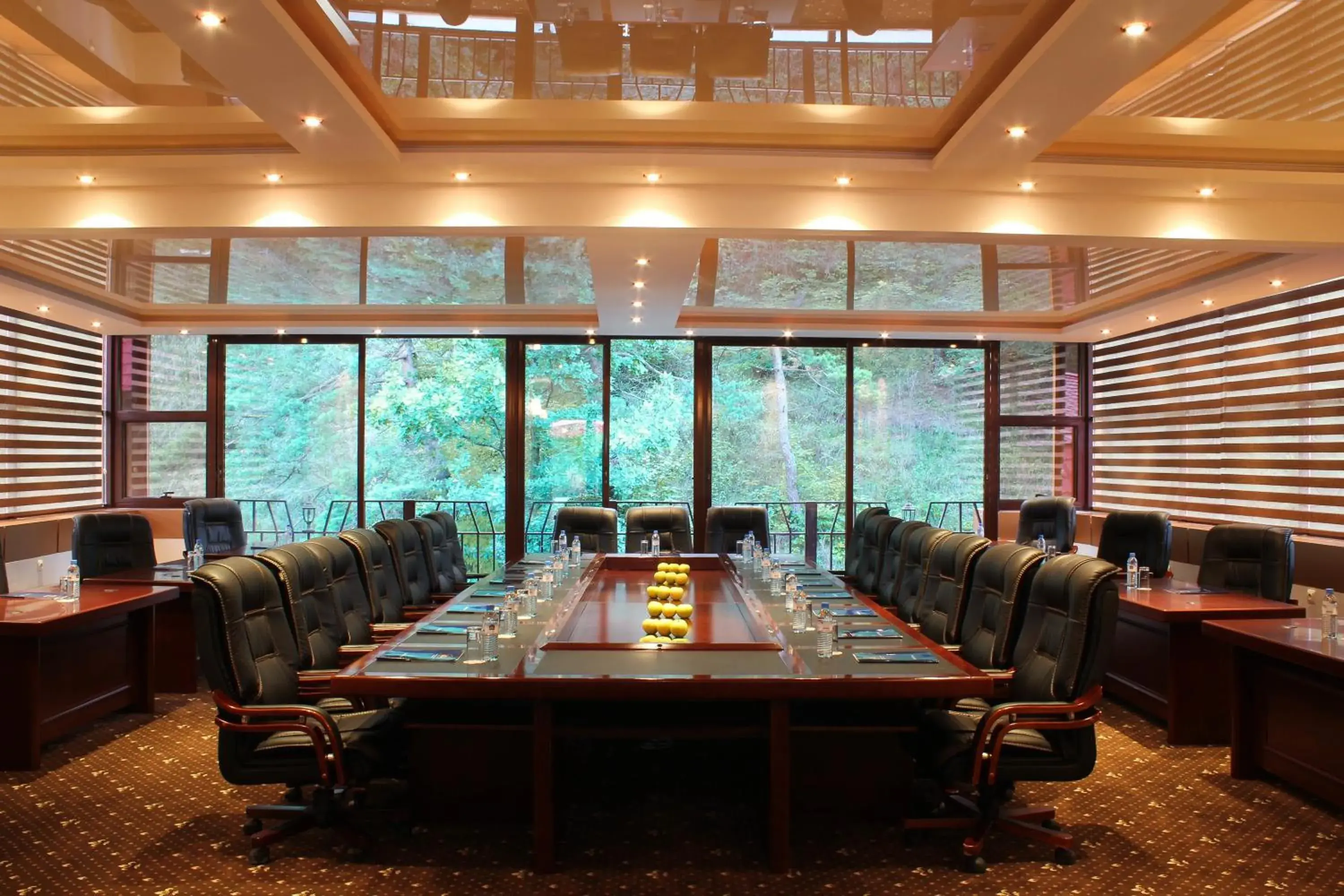 Business facilities in Best Western Plus Paradise Hotel Dilijan