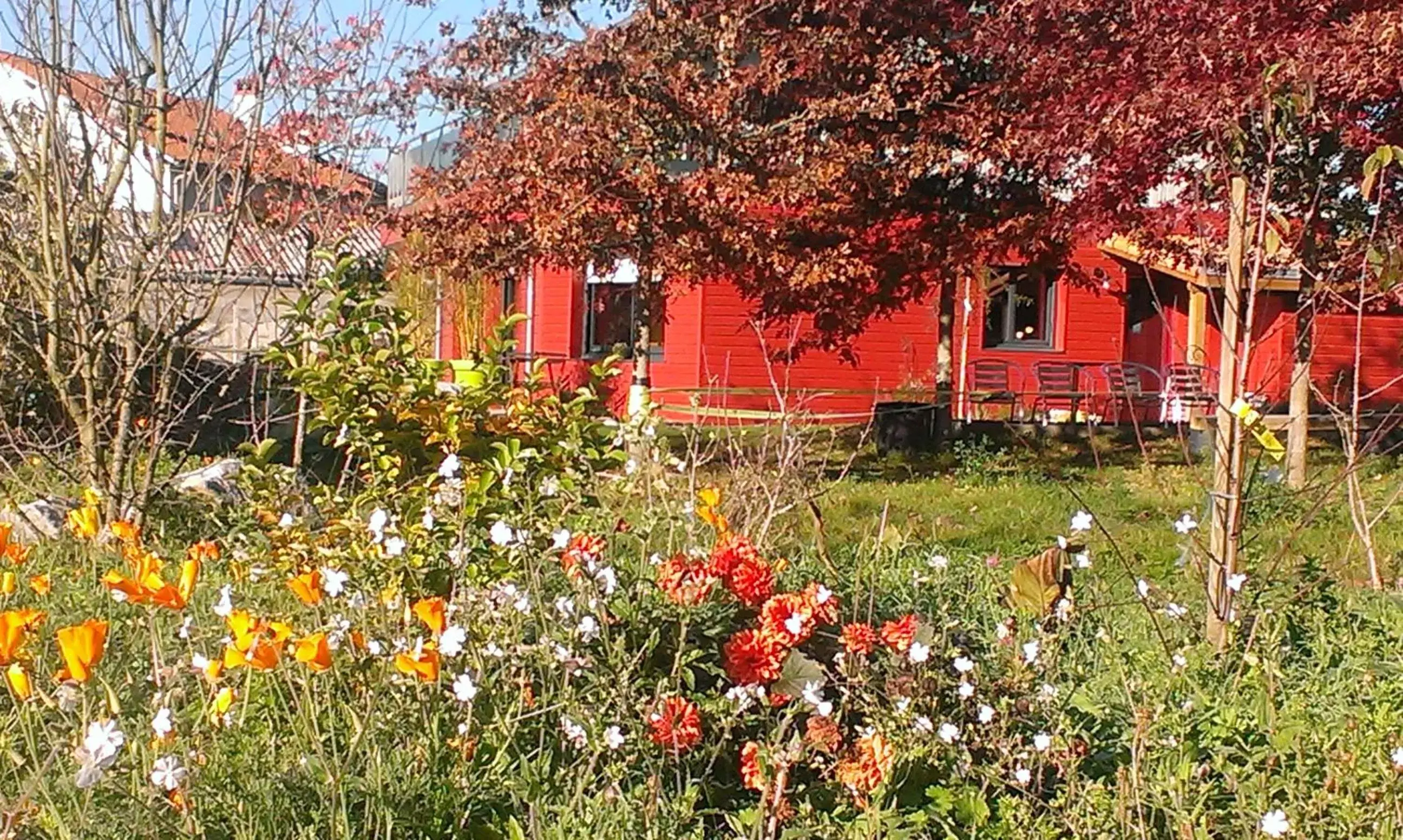 Autumn, Property Building in Homgaïa chambres d'hôtes