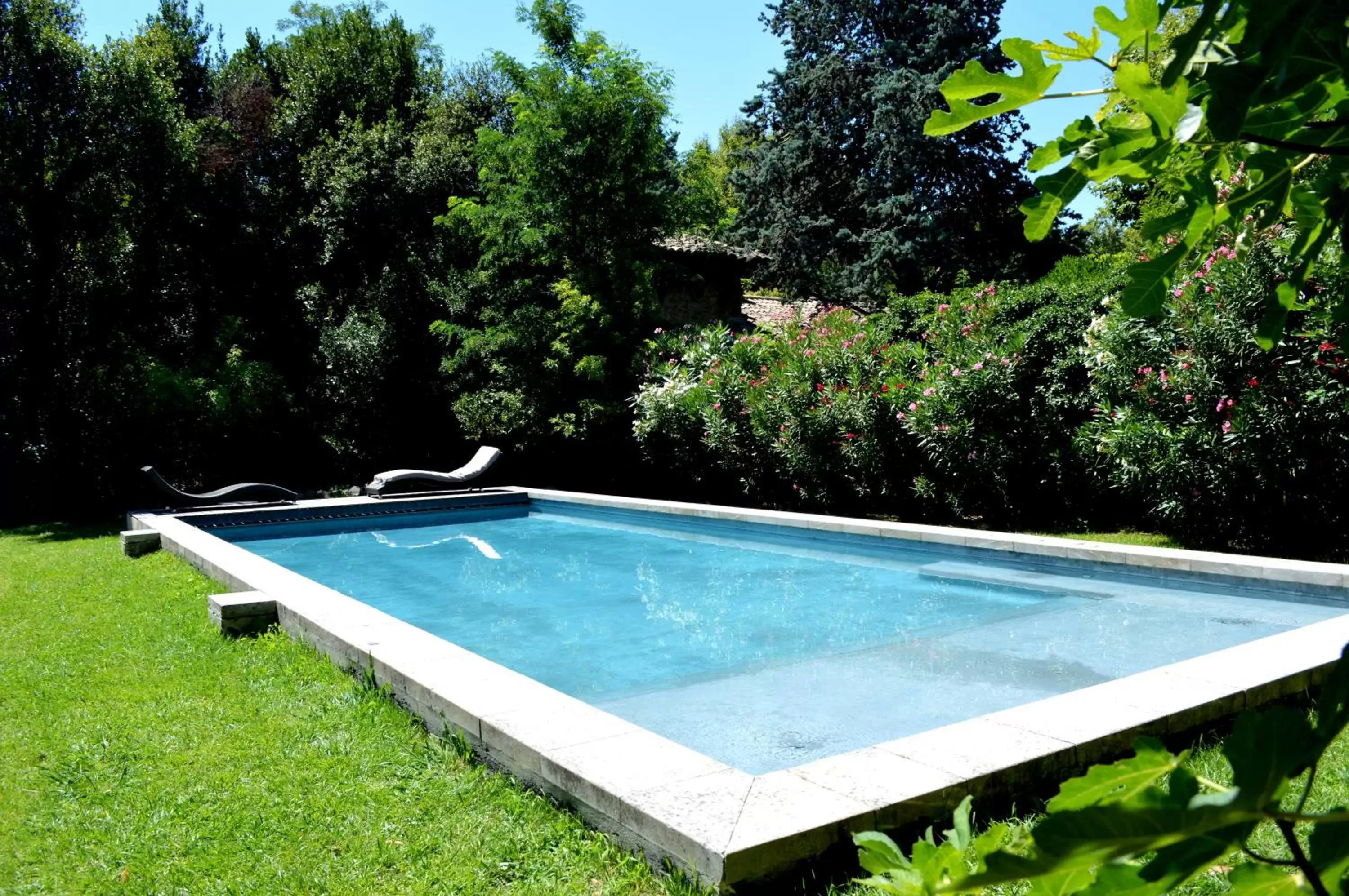 Solarium, Swimming Pool in A Propos - Chambres d'Hôtes