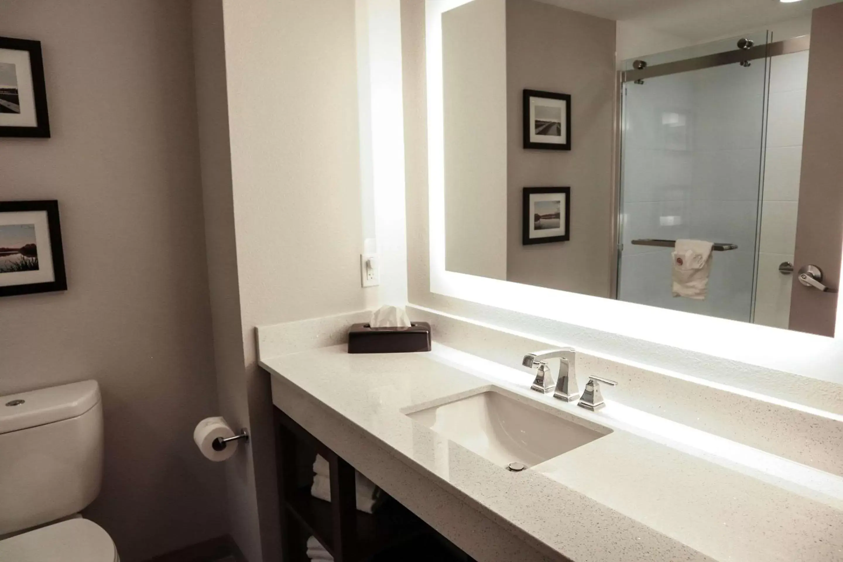 Toilet, Bathroom in Comfort Suites Gainesville Near University