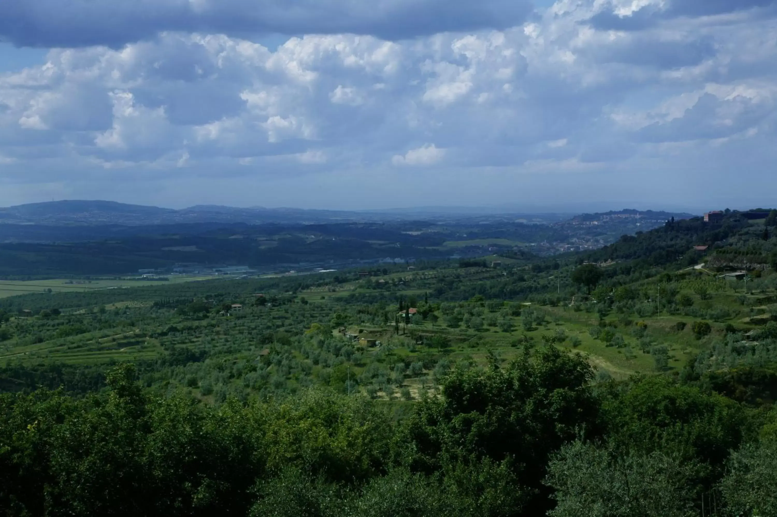 Area and facilities in Hotel Vannucci