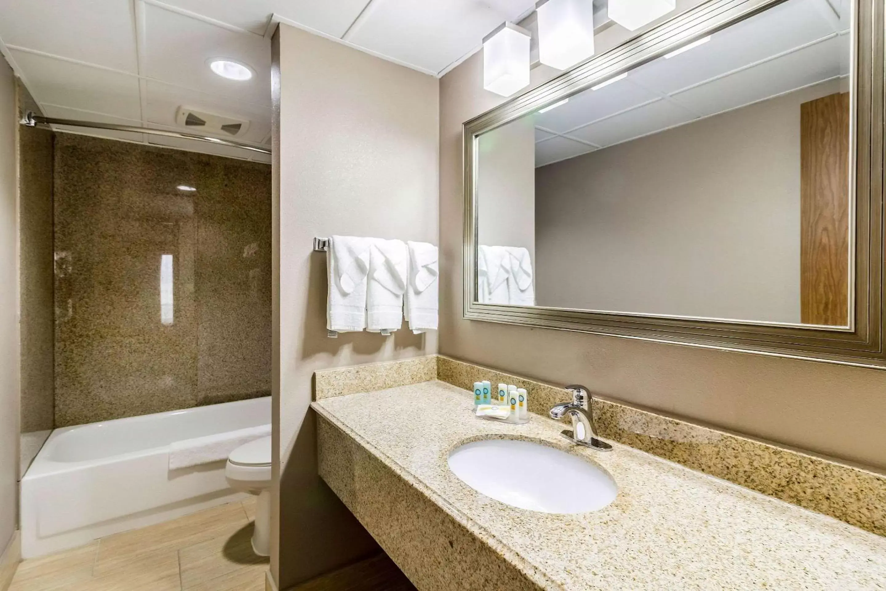 Bathroom in Quality Inn and Suites - Arden Hills