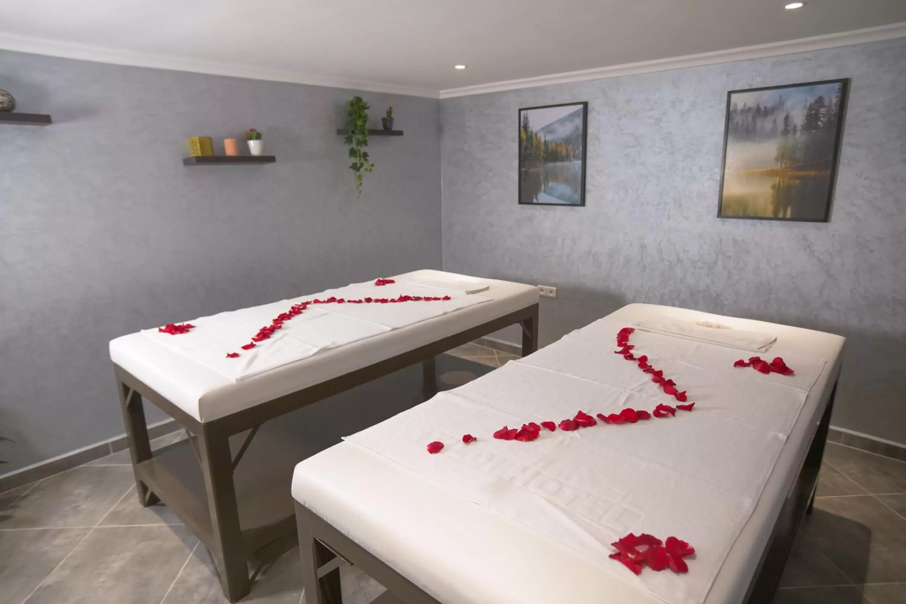 Massage, Spa/Wellness in Hotel Tildi Hotel & Spa