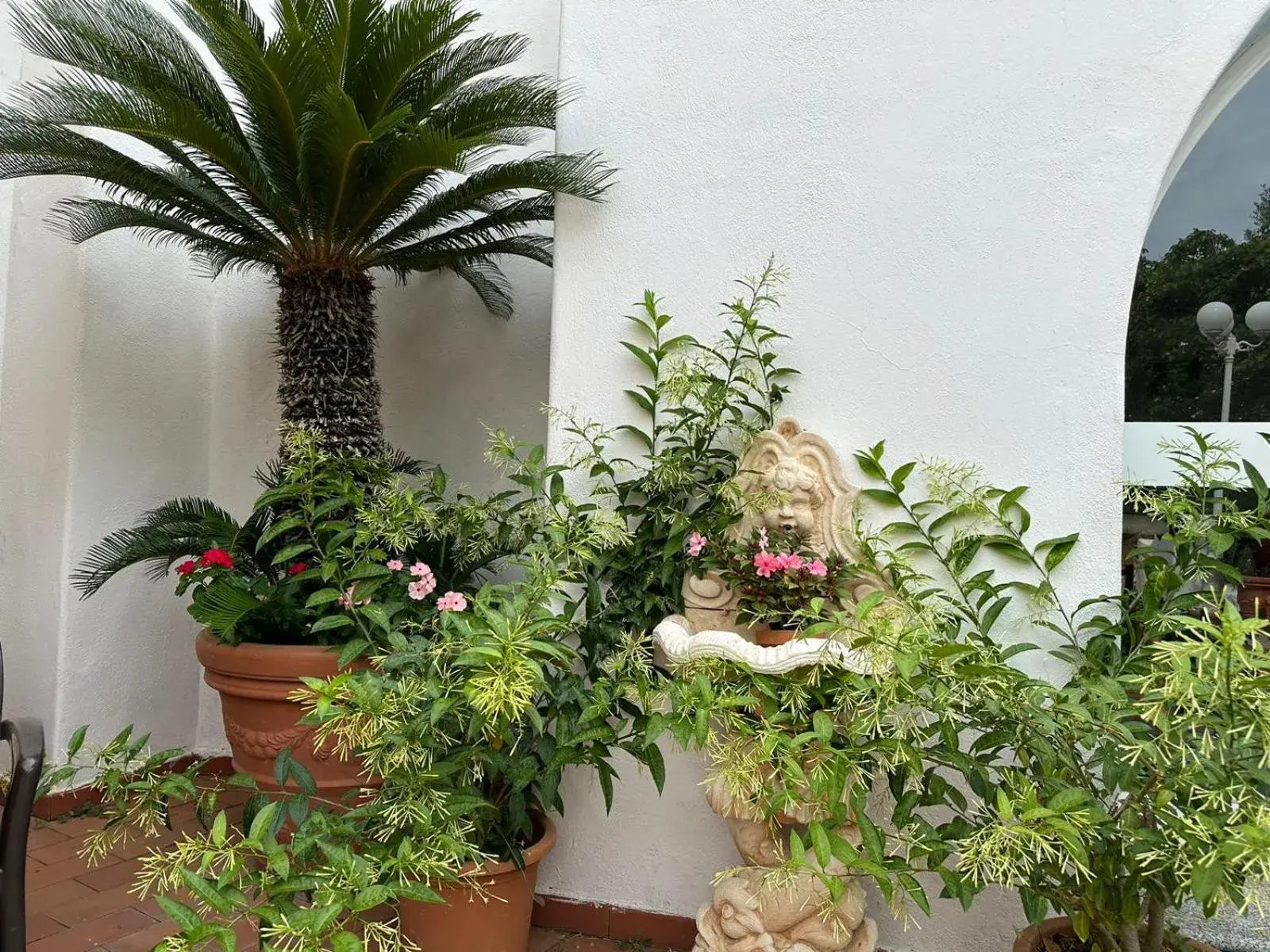 Garden in Hotel Park Calitto