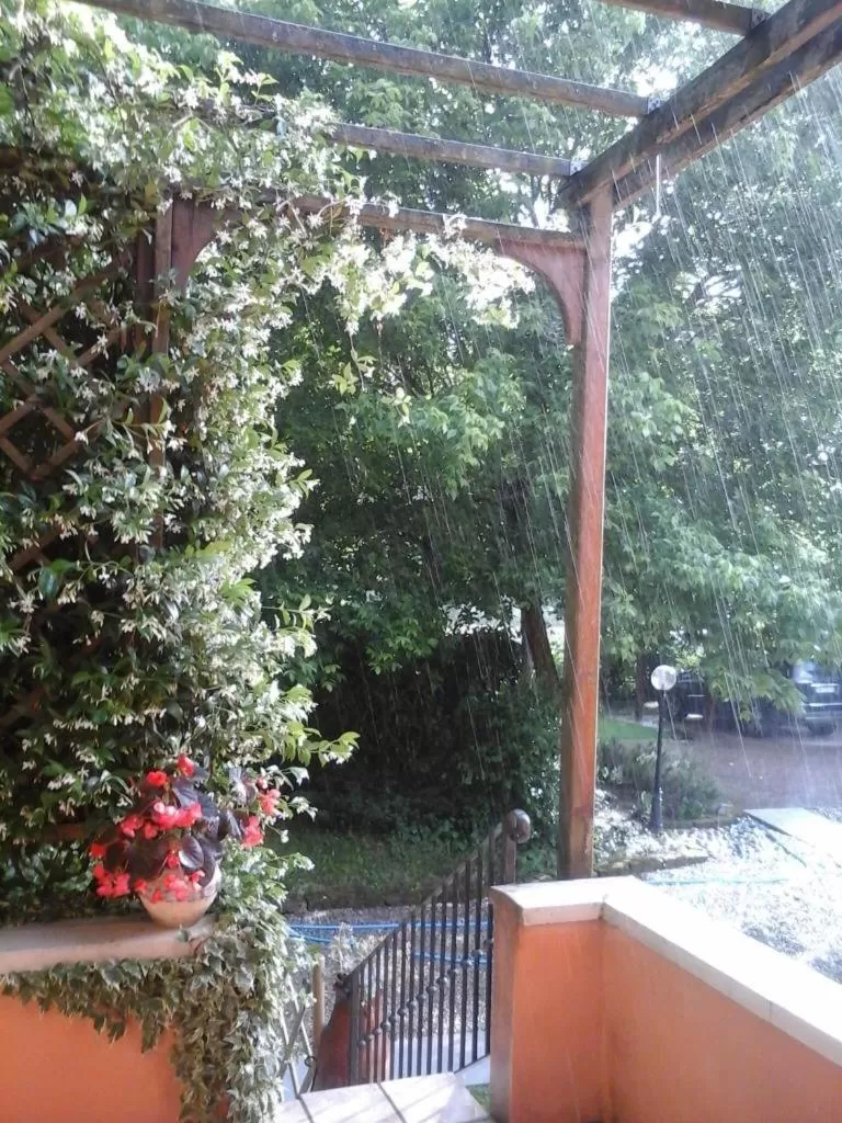 Garden in B&B Mo Va Là