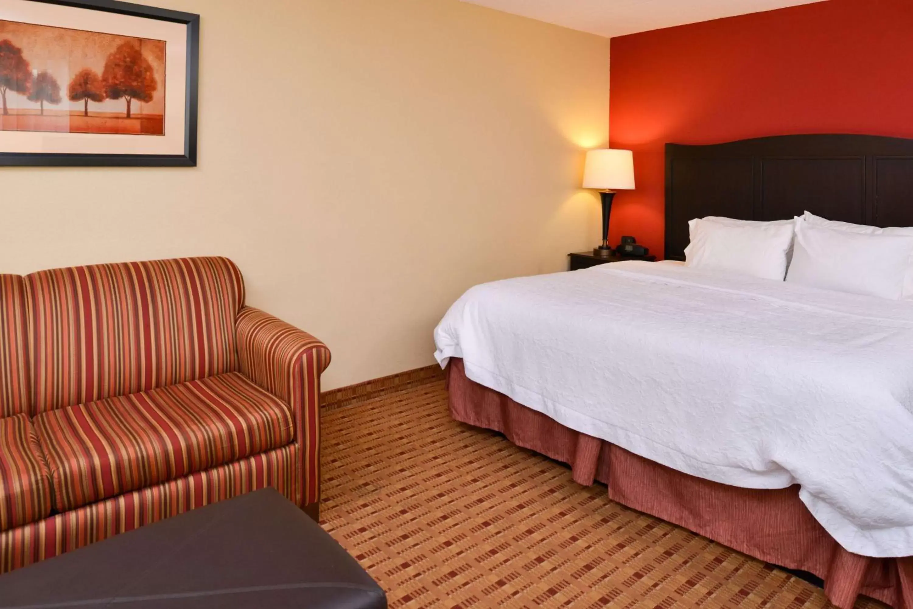 King Studio - Non-Smoking in Hampton Inn Williamsburg King Studio - Non-Smoking in Hampton Inn Williamsburg