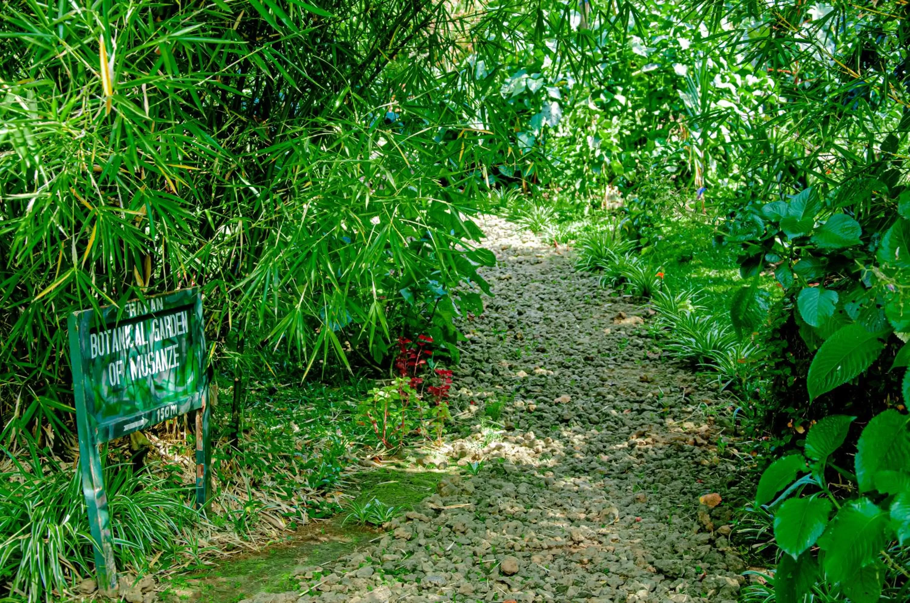 Garden in Fravan Eco Resort By Apogee