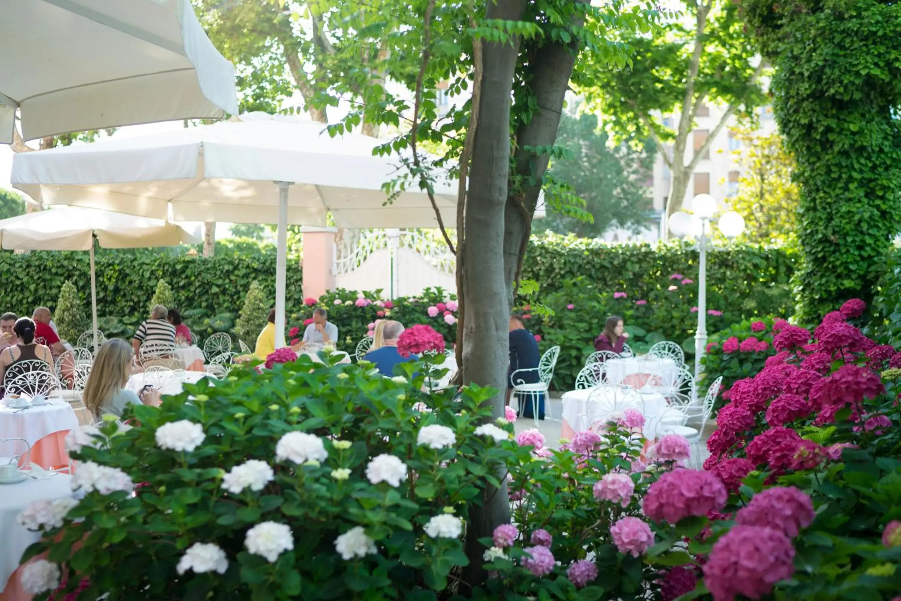 Garden in Hotel Milton