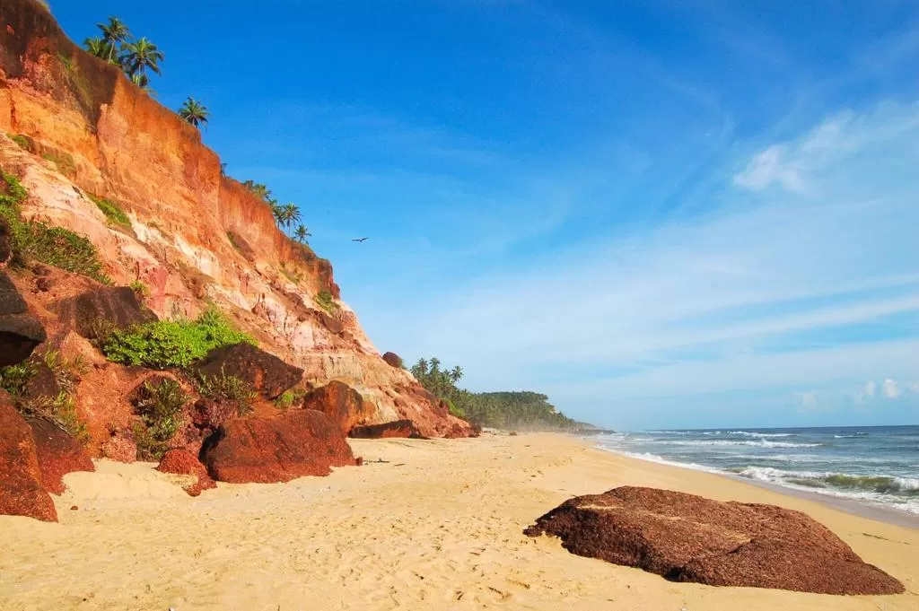 Day in Villa Jacaranda