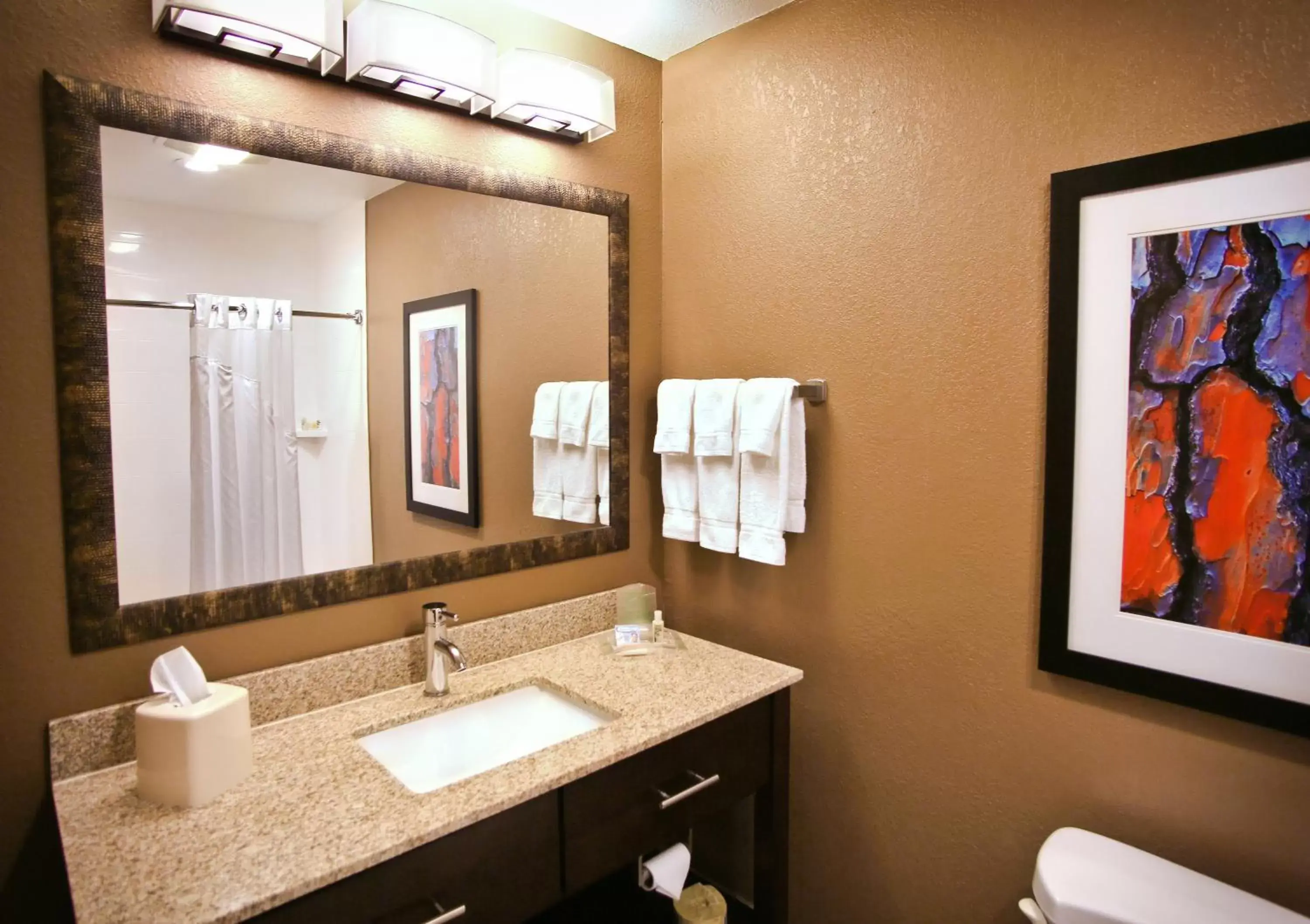 Bathroom in Holiday Inn & Suites Downtown La Crosse, an IHG Hotel