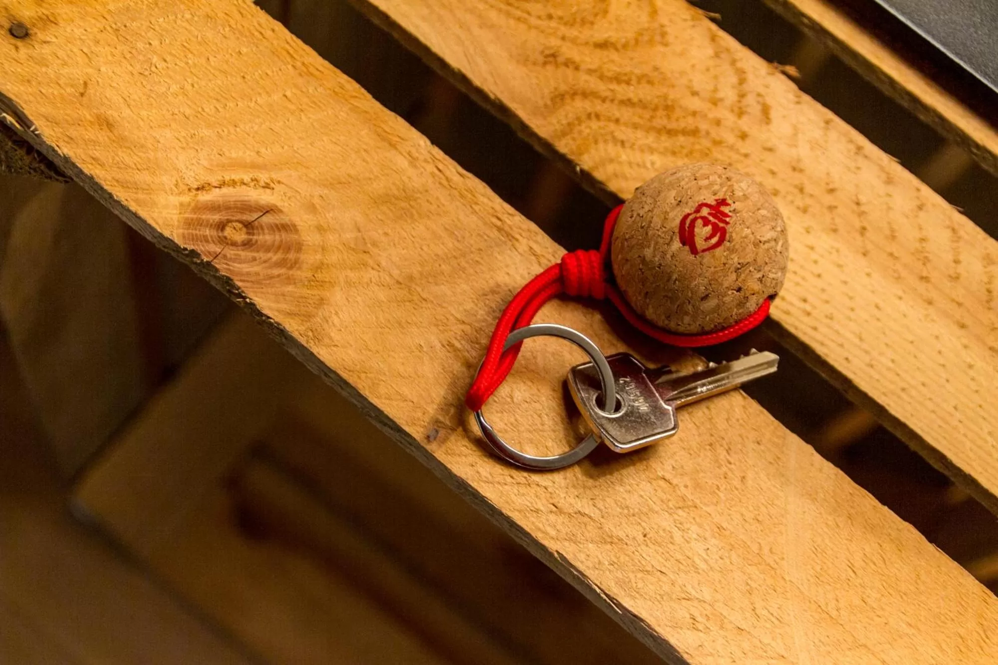Decorative detail in Le Puy Carmin - Chambre d'hôtes avec jacuzzi